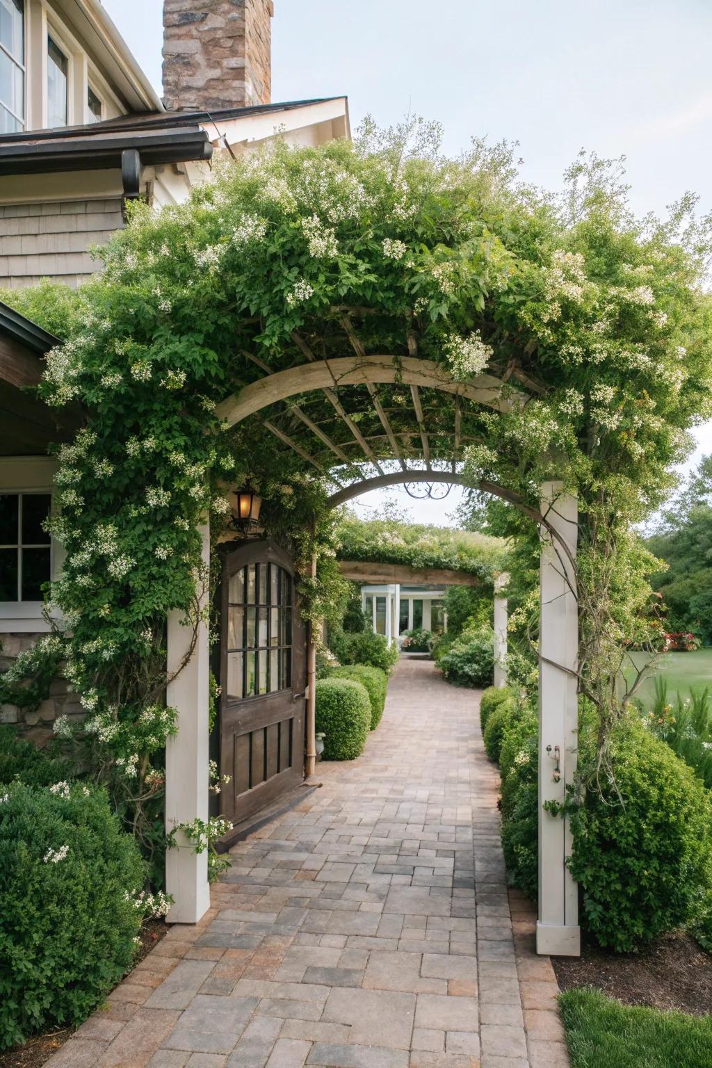 An arched pergola entryway adorned with honeysuckle, creating an inviting entrance.