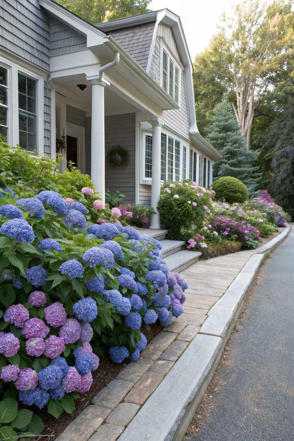 A hydrangea border adds charm and curb appeal to any home.