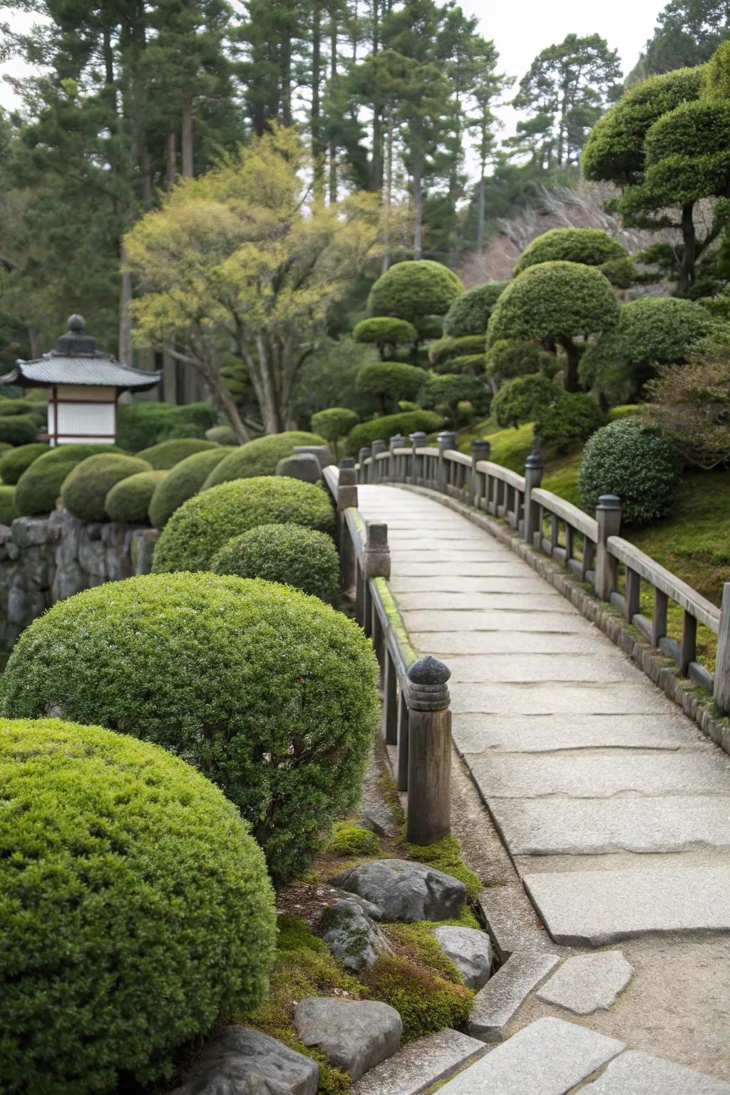 Evergreen shrubs offer lasting beauty and structure.