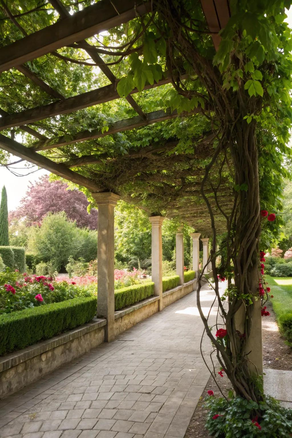 Pergolas with climbing plants create shaded and cozy garden retreats.
