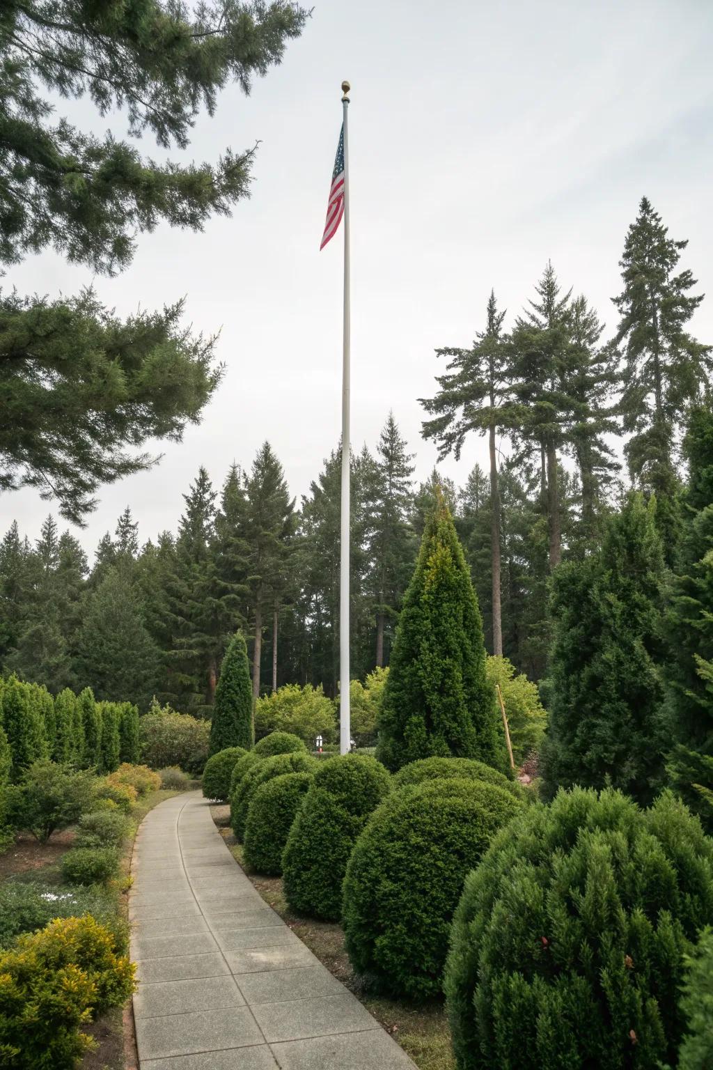 Evergreen shrubs keep your flagpole looking lush all year.
