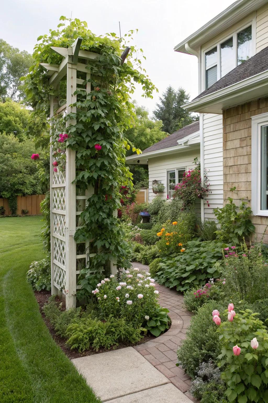 Vertical elements offer greenery without consuming ground space.