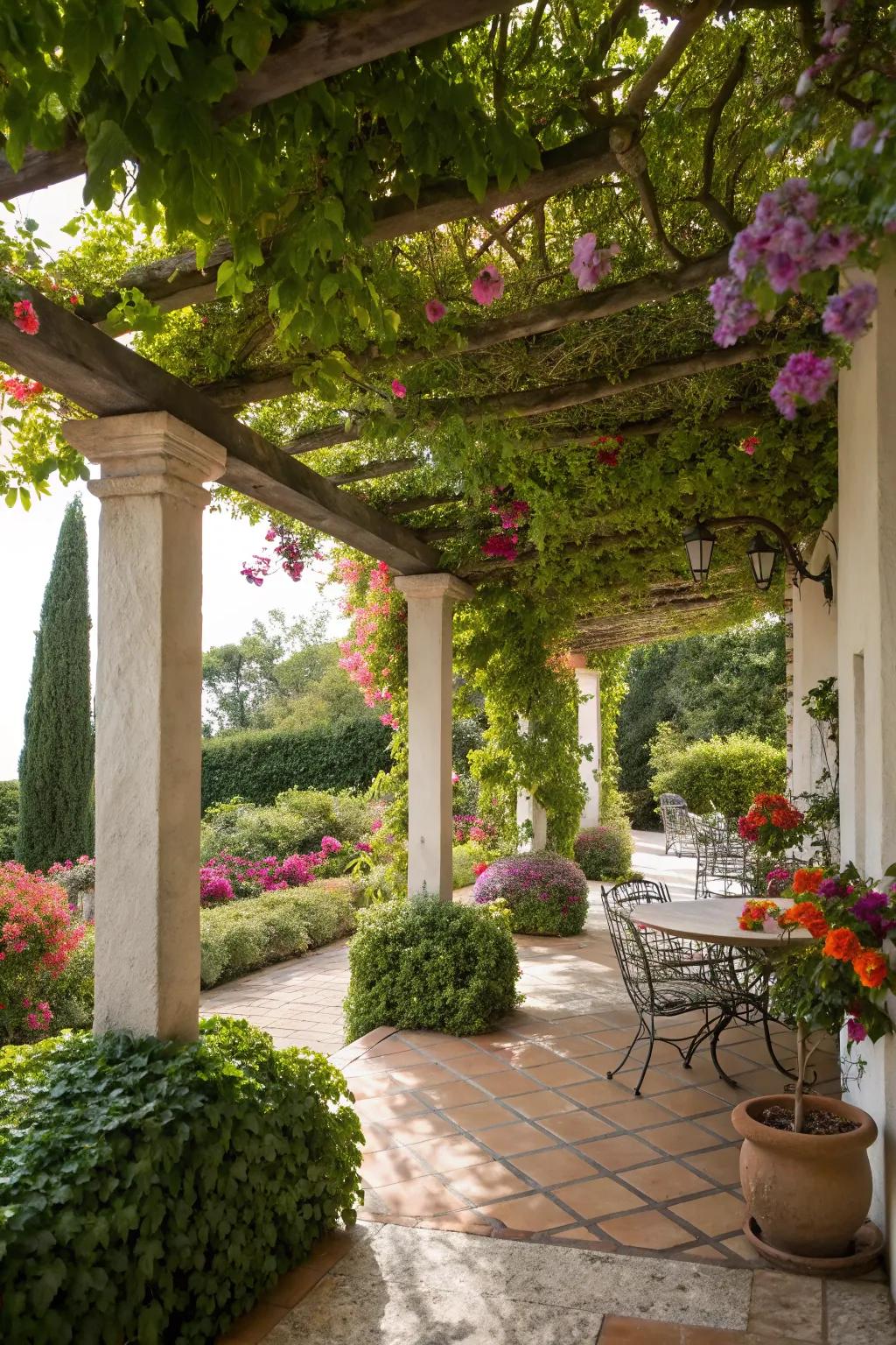 Trellises transform climbing plants into living art.