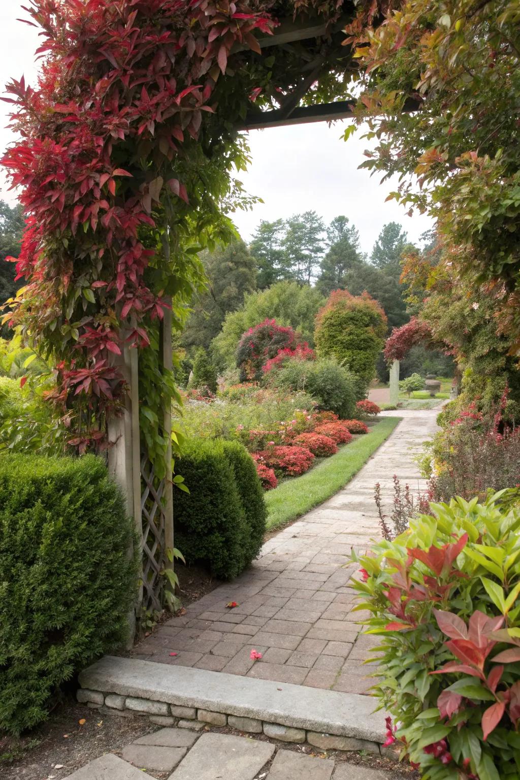 Nandina frames garden entrances beautifully, creating a welcoming feel.