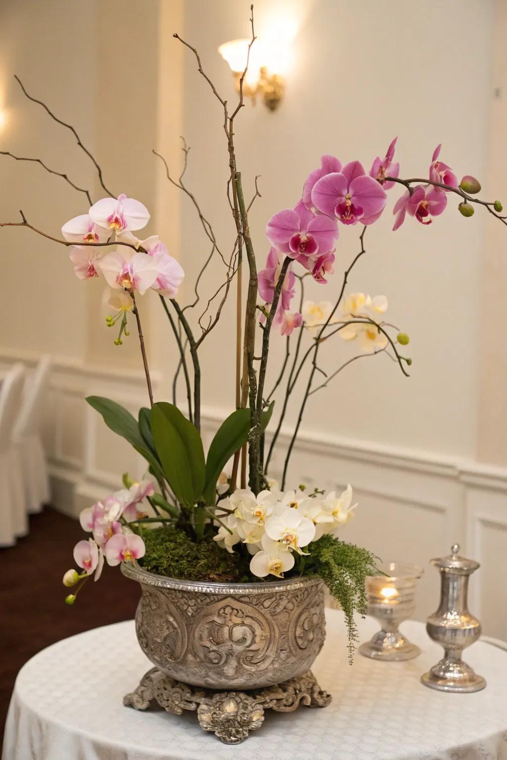 An orchid centerpiece brings elegance to any table setting.