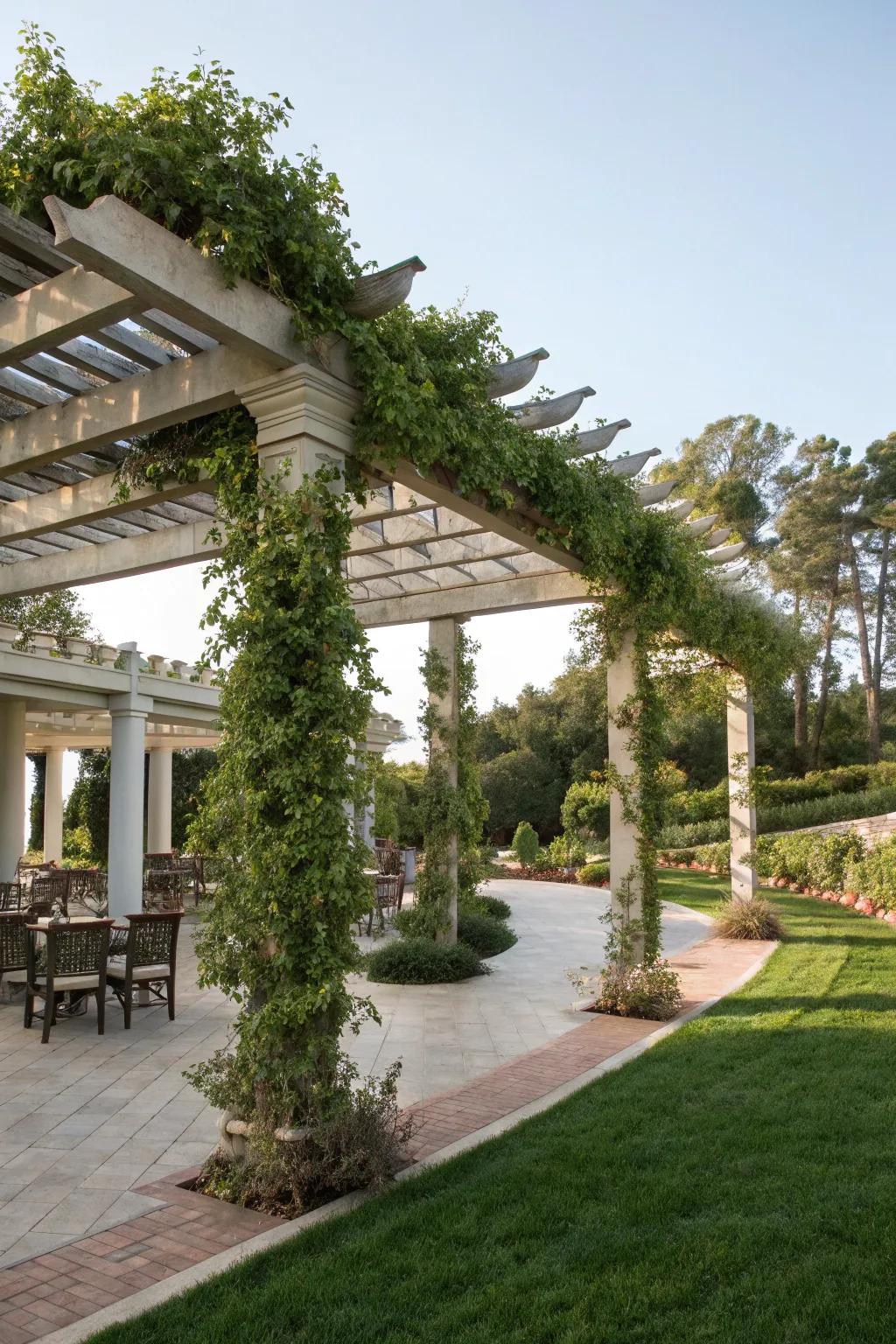 A multi-level pergola adds dimension and interest to your garden.