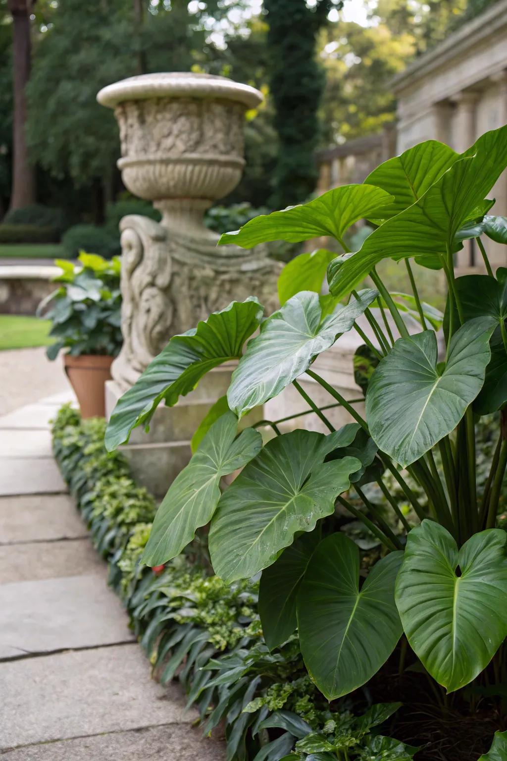 Enhance garden art with large-leaf philodendrons.