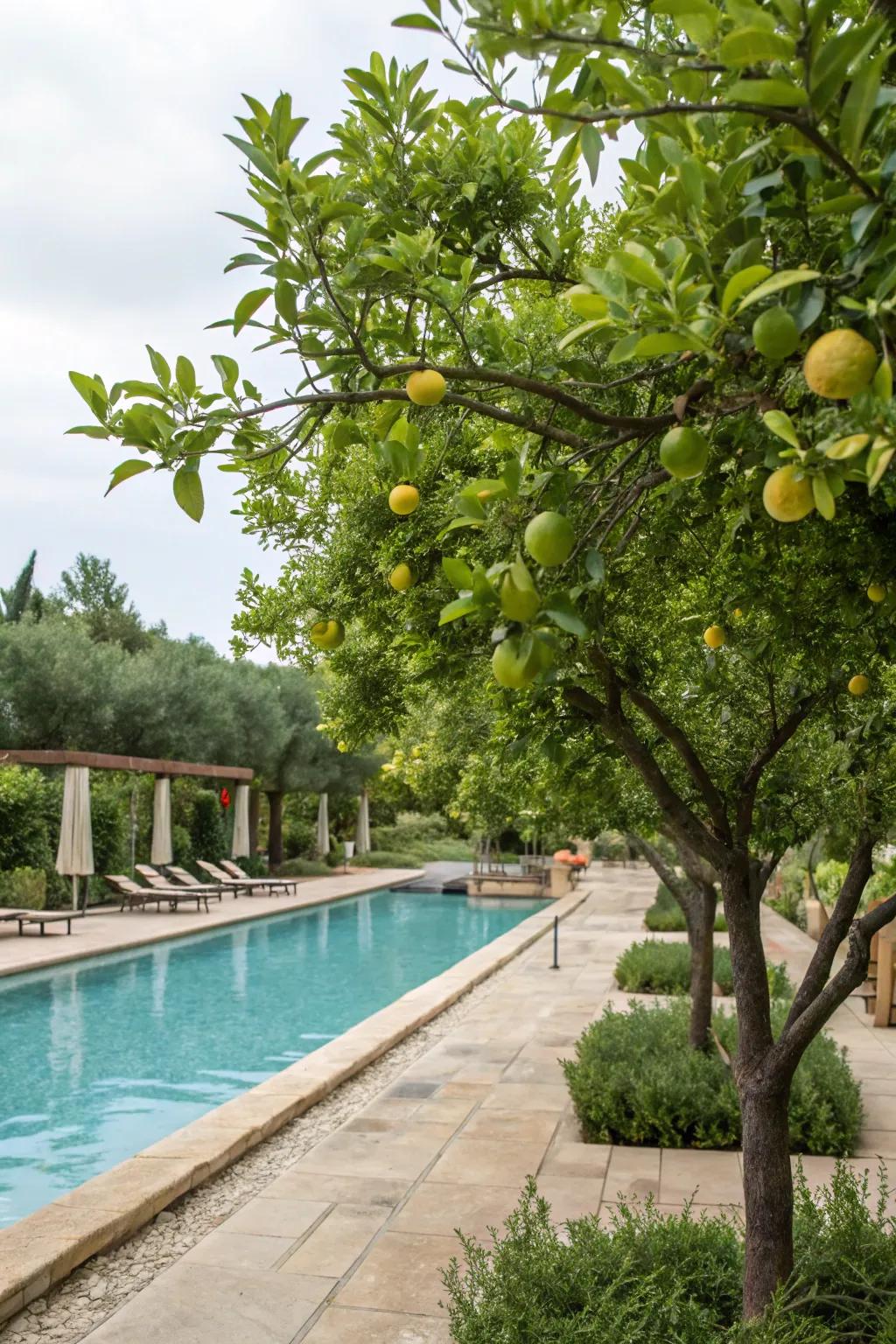 Enjoy fresh poolside treats with edible landscaping.