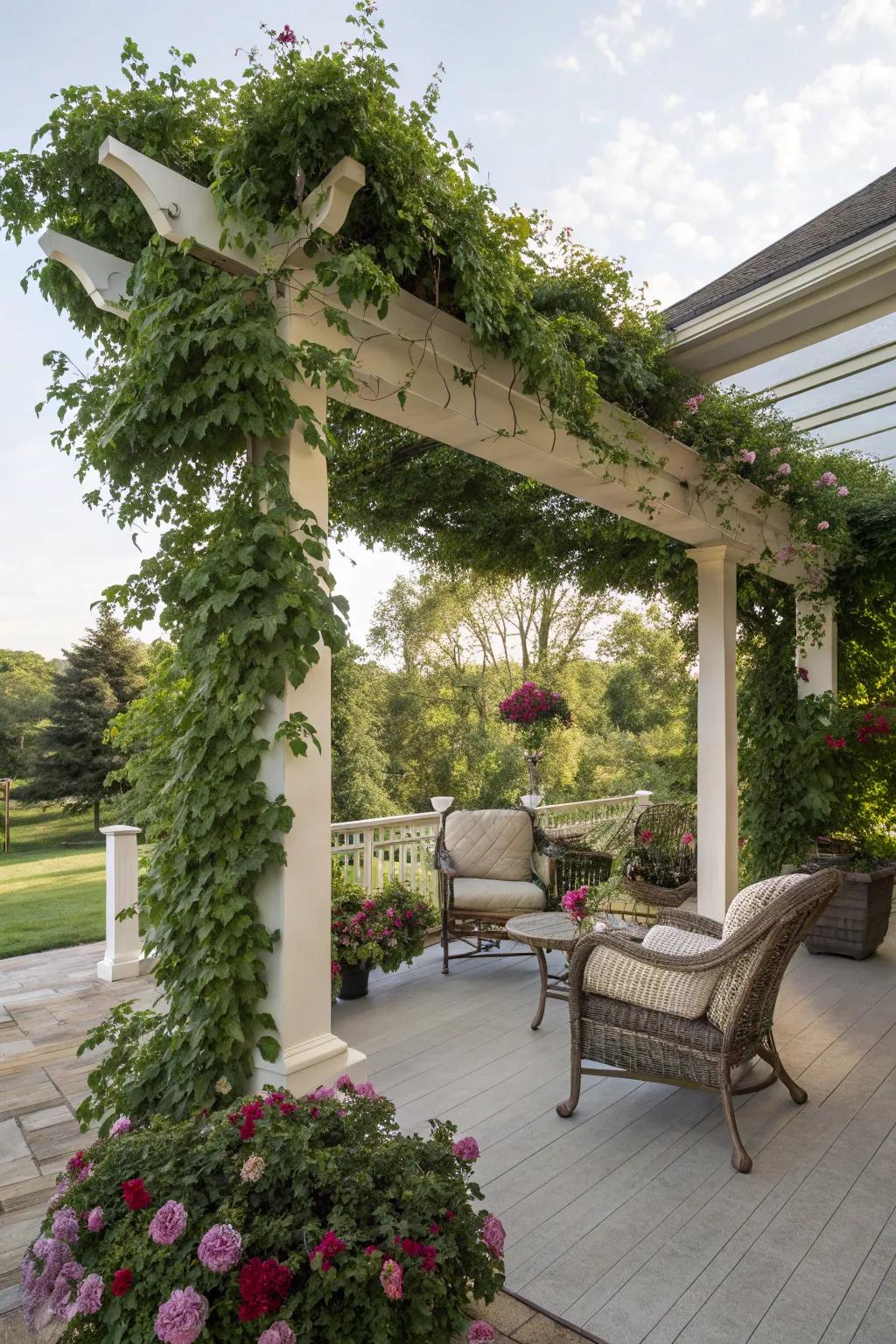 A pergola creates a cozy and shaded retreat.