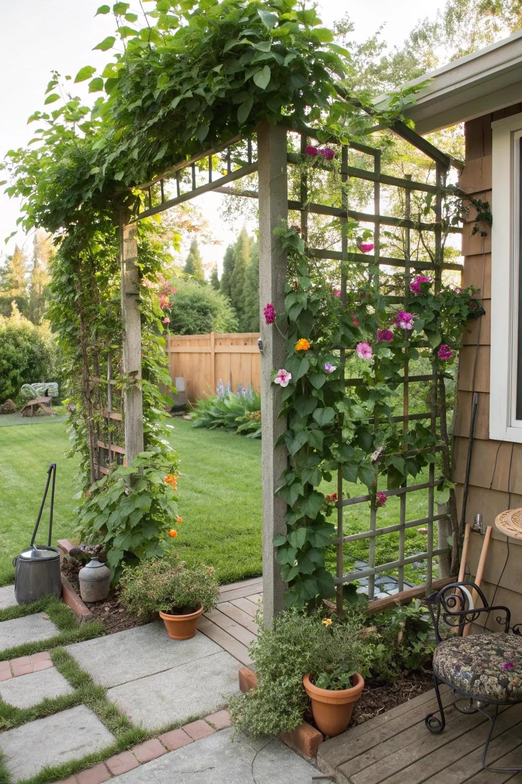 Garden screens with climbers provide a fragrant and beautiful privacy solution.