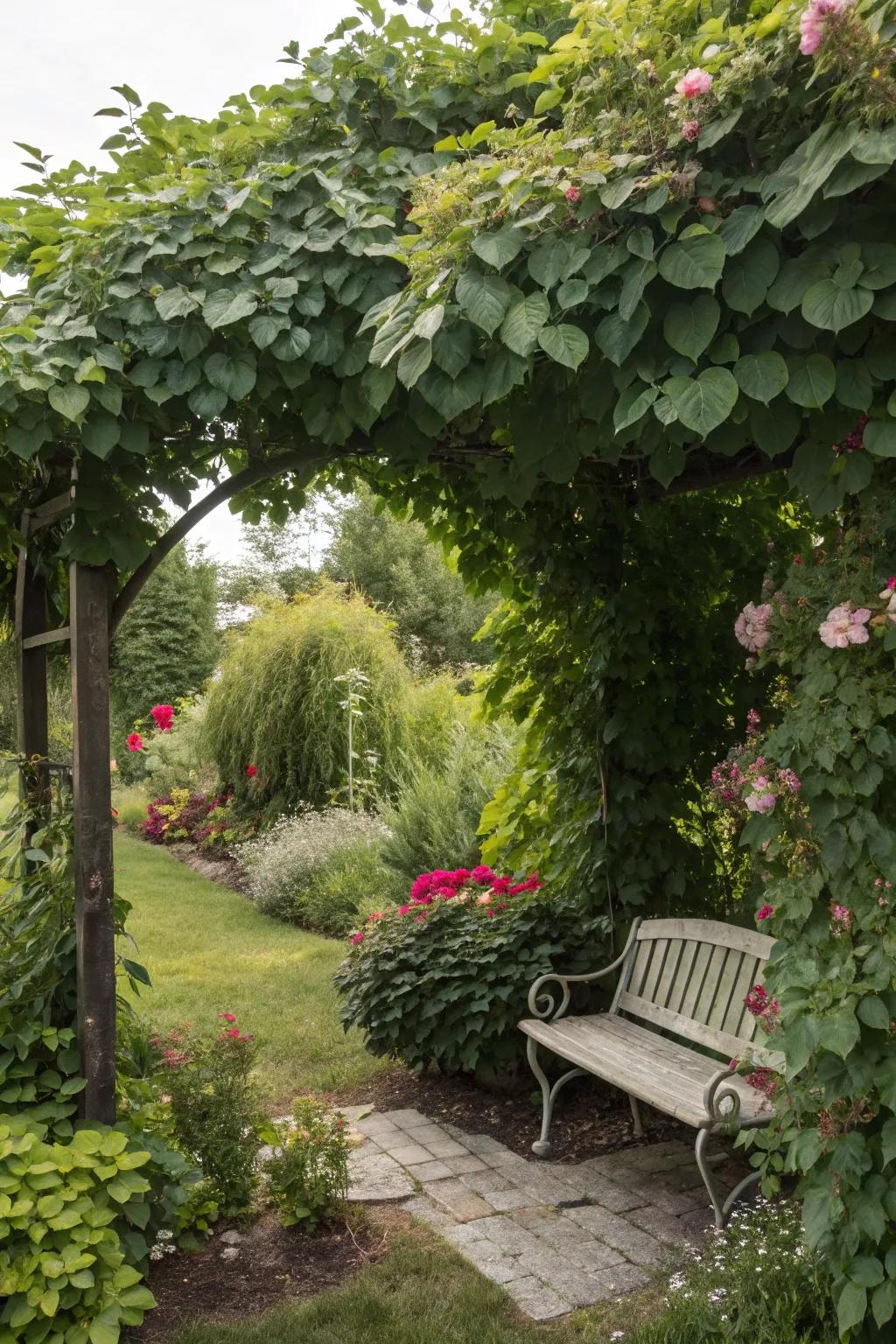 A secret garden offers a secluded escape.