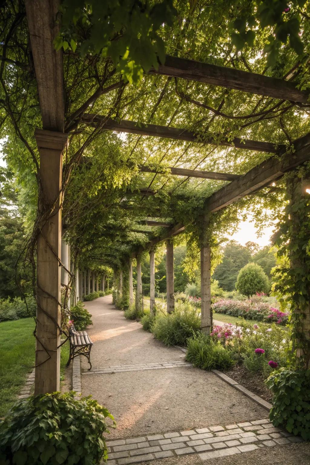 Shade structures offer comfort and relief from the sun.
