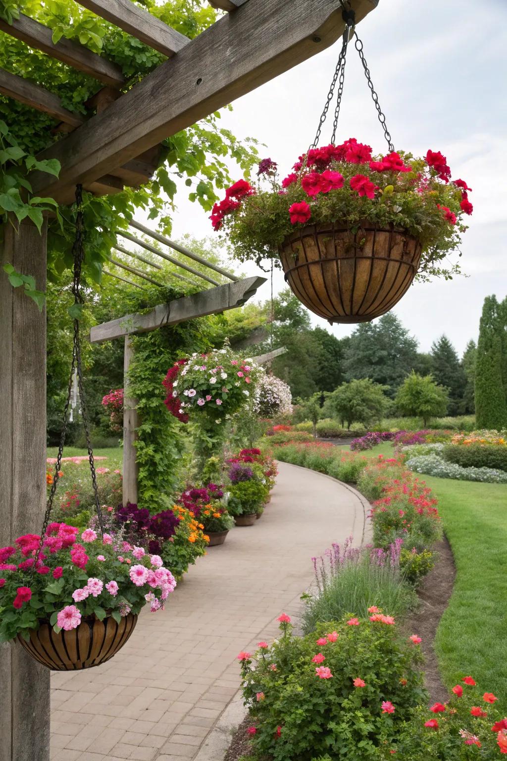 Hanging baskets adding height and color to the garden