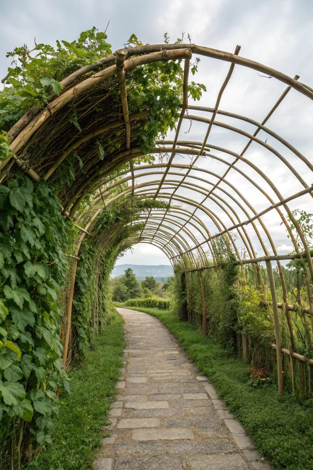 An eco-friendly bamboo trellis tunnel, blending with the garden.