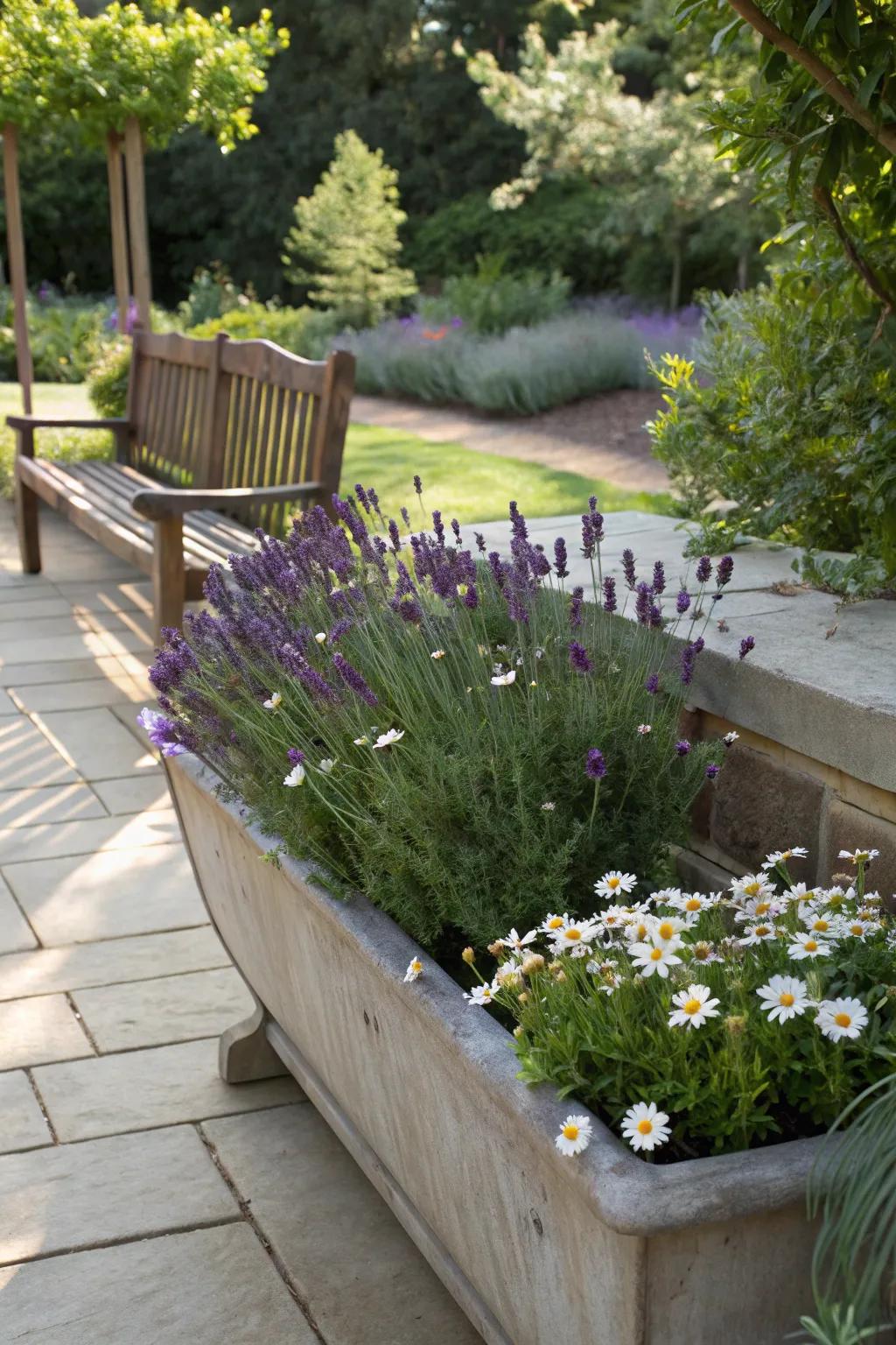 A meditation garden trough offering tranquility and calm.