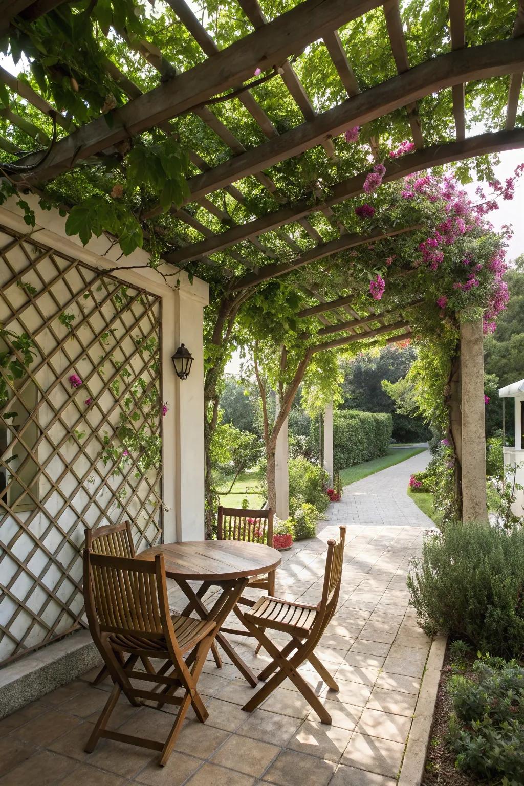 Lattices provide structural shade with natural beauty.