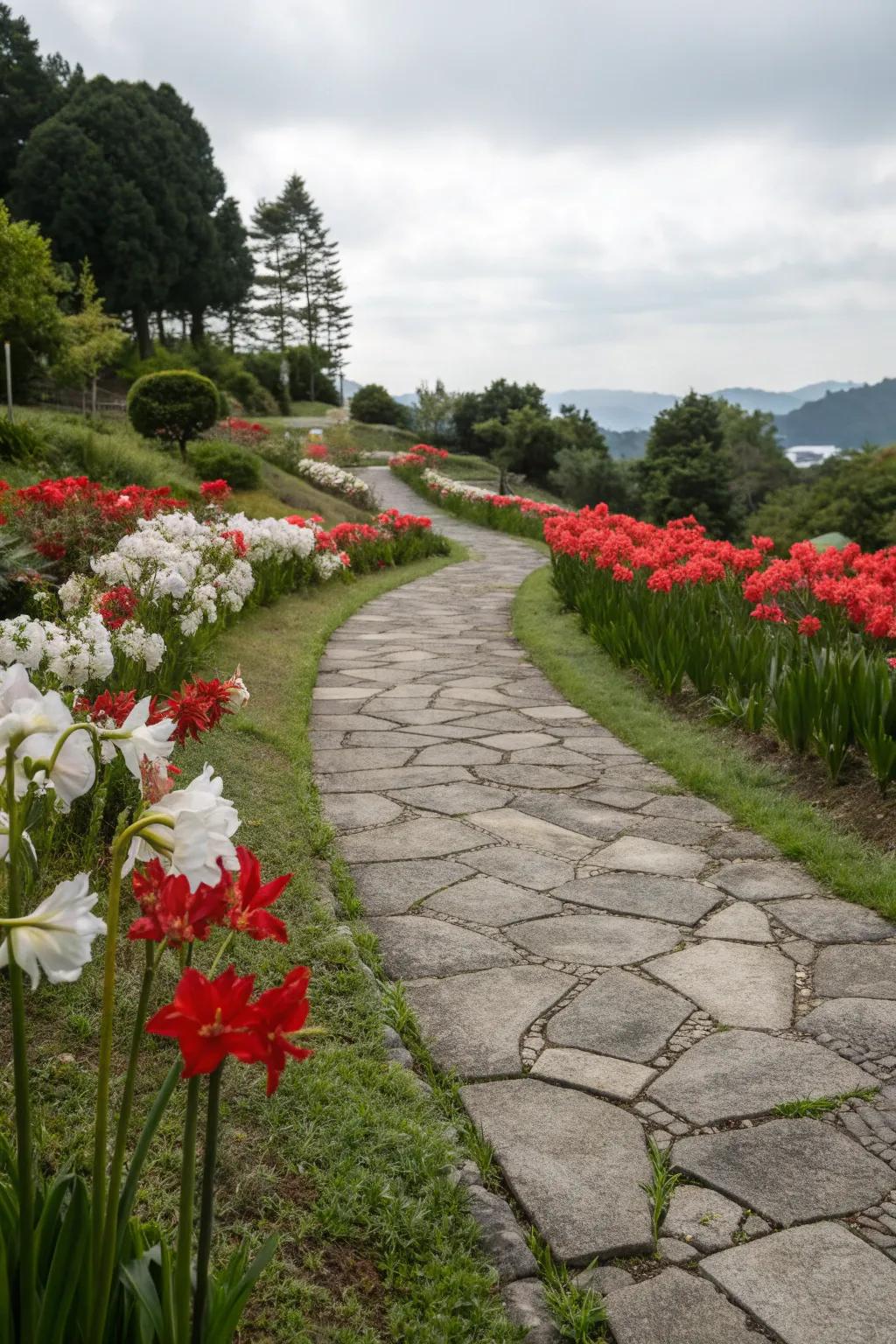 Stone paths lined with amaryllis offer timeless elegance.