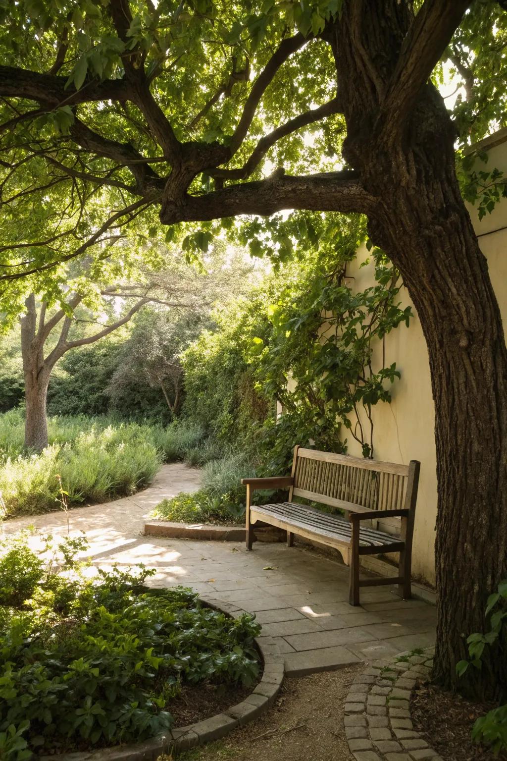 A quiet corner with a bench provides a serene spot to relax.