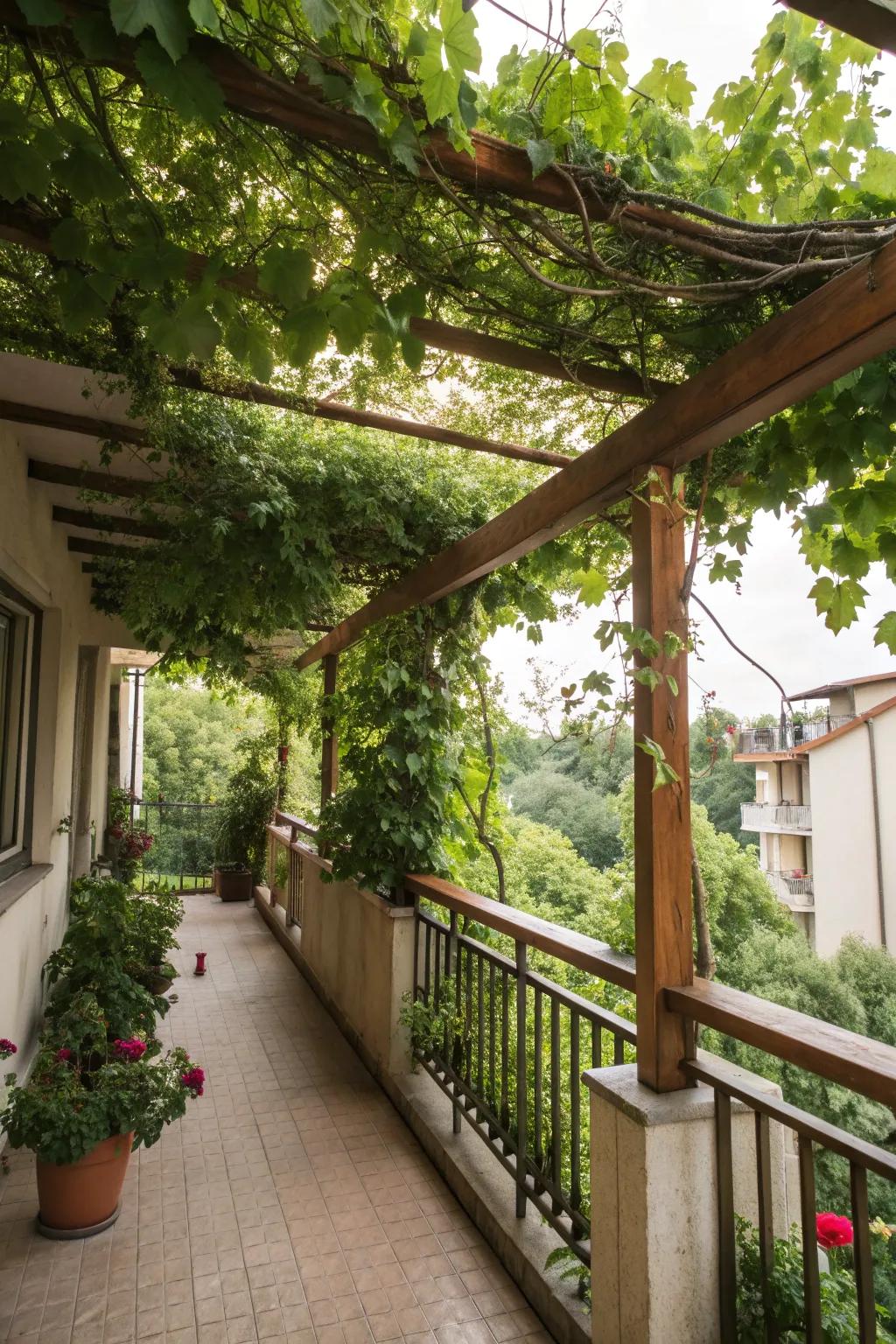A pergola adds elegance and privacy to any balcony setting.