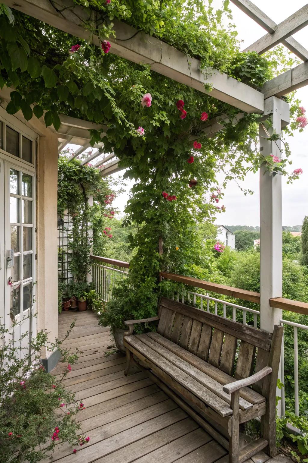 A trellis with a bench is perfect for relaxation.