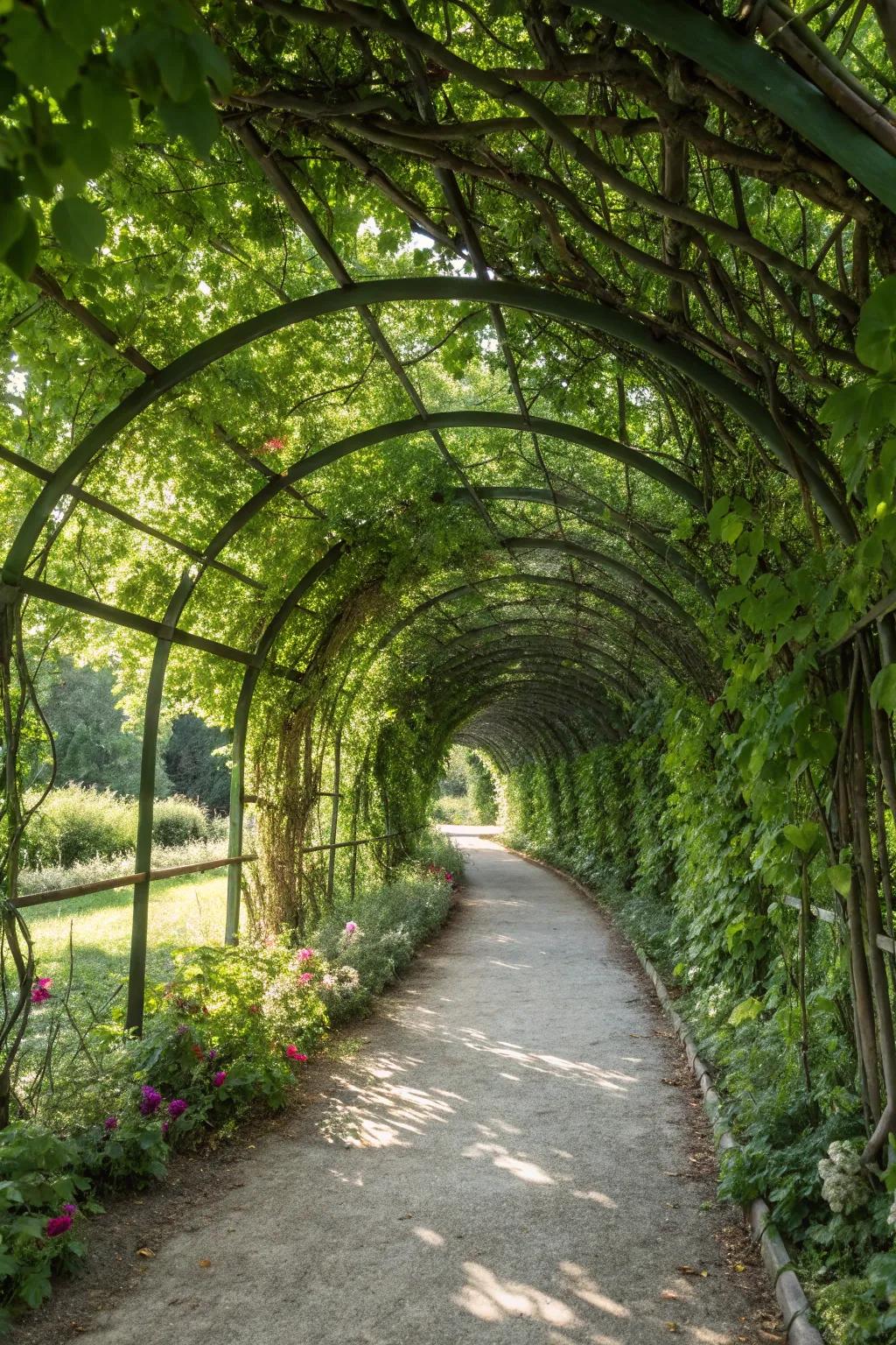 Stroll through a garden wonderland with an arched walkway.