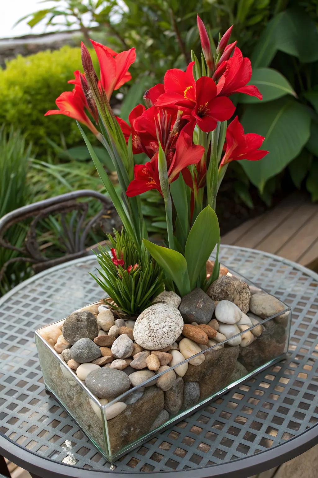 Personalize your canna lily containers with decorative elements like stones or shells.