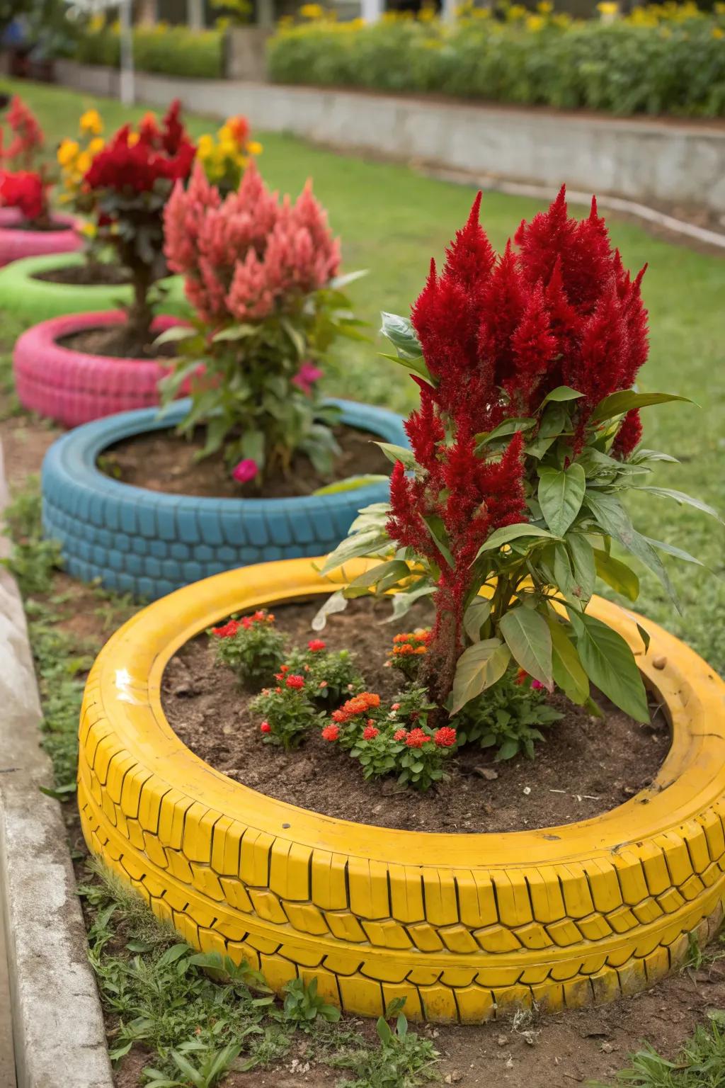 Upcycled tires make colorful and fun celosia planters.