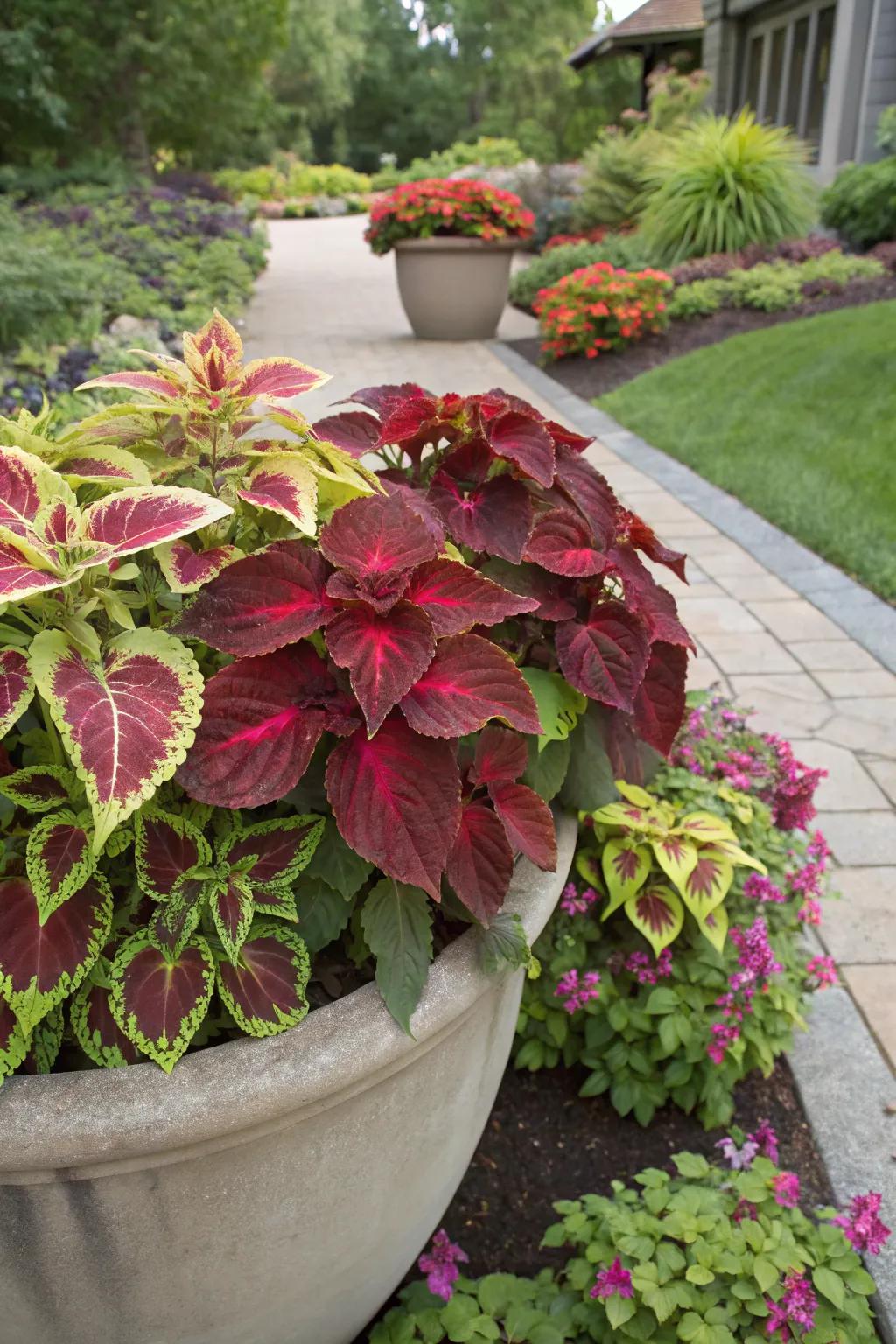 Dramatic Garden Transformation with Large Planters