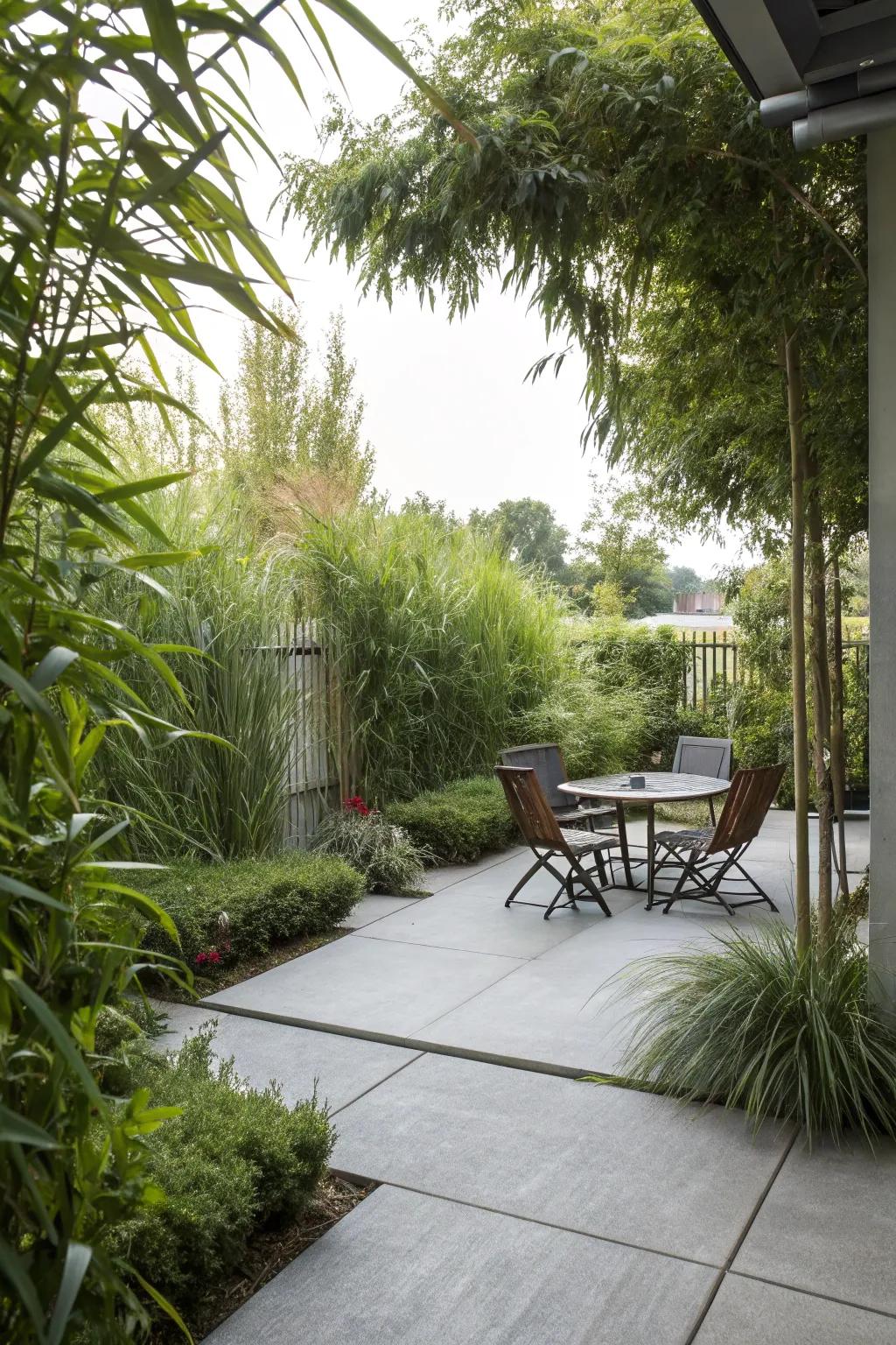 Tall plants offer a natural and beautiful privacy solution.