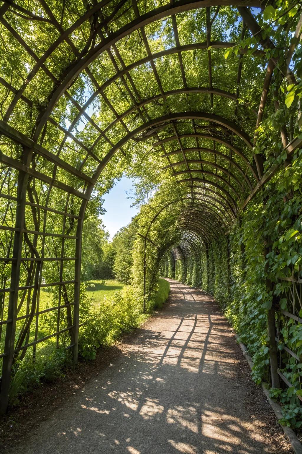Lattice tunnels offer structure and intrigue in any garden.