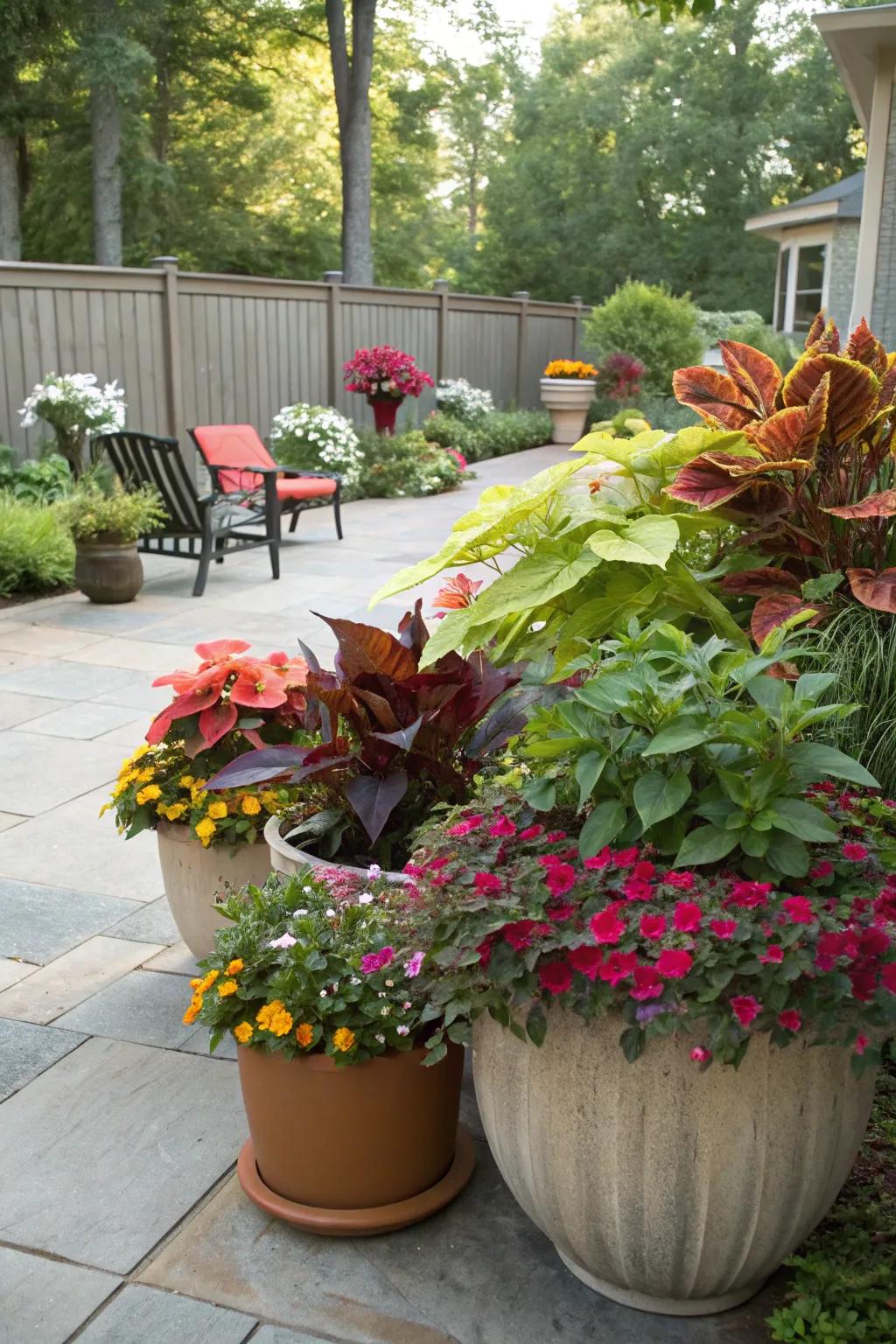 Potted plants add versatility and color to any space.