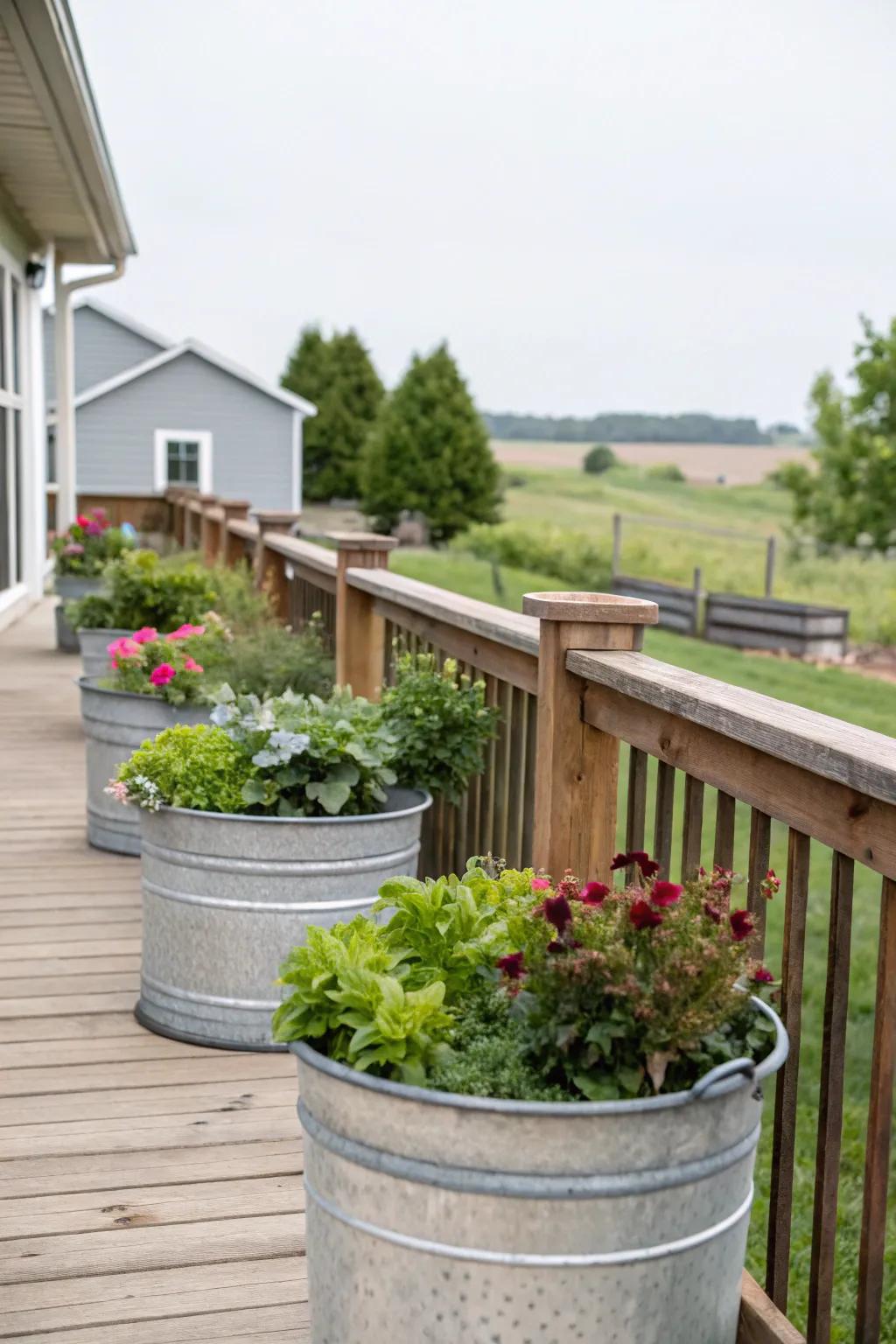 Galvanized planters add industrial charm.