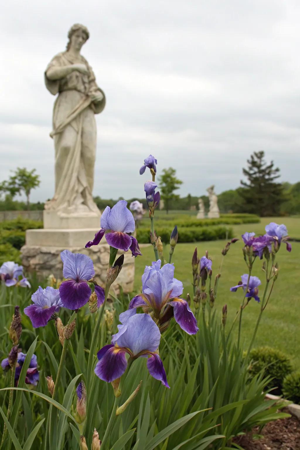 Artistic garden design with irises and a sculpture.