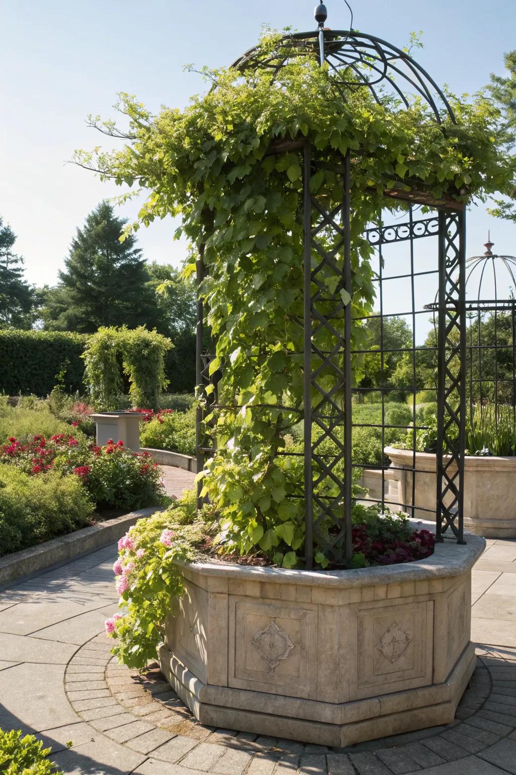 A trellis with trailing vines adds height and visual interest to sunny spaces.