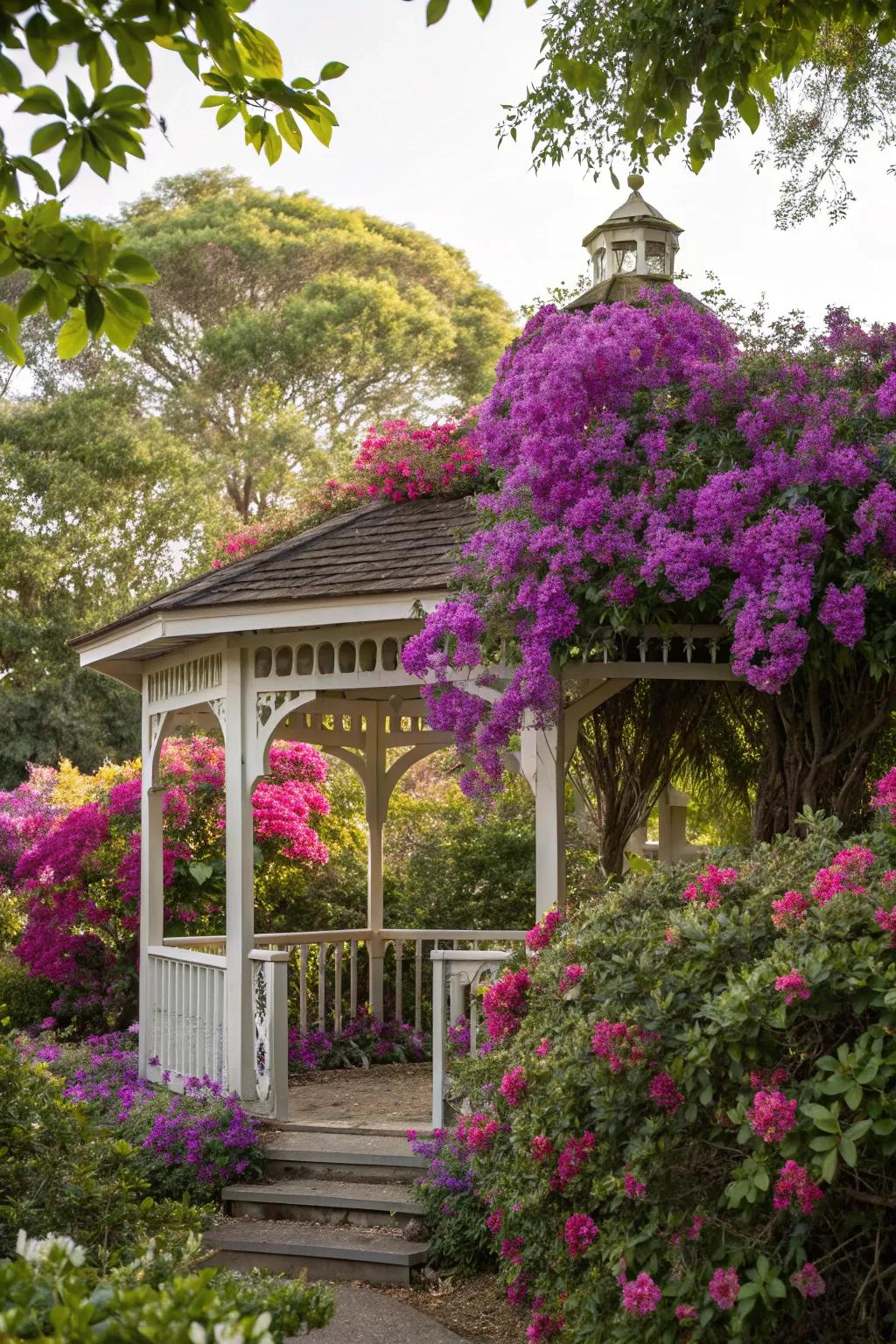 Bougainvillea adds an exotic splash of color to this sunny gazebo.