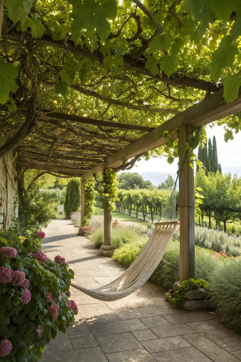A hammock under a grapevine pergola, a perfect place to unwind.