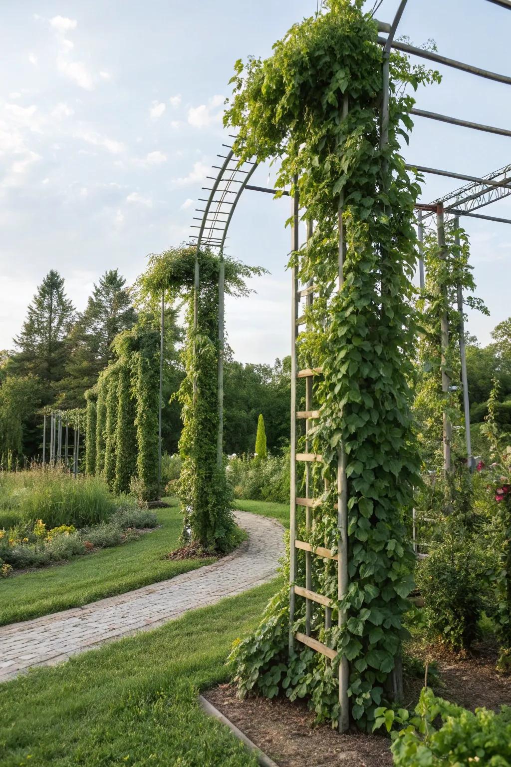 Vertical planting structures add depth and support climbing plants.