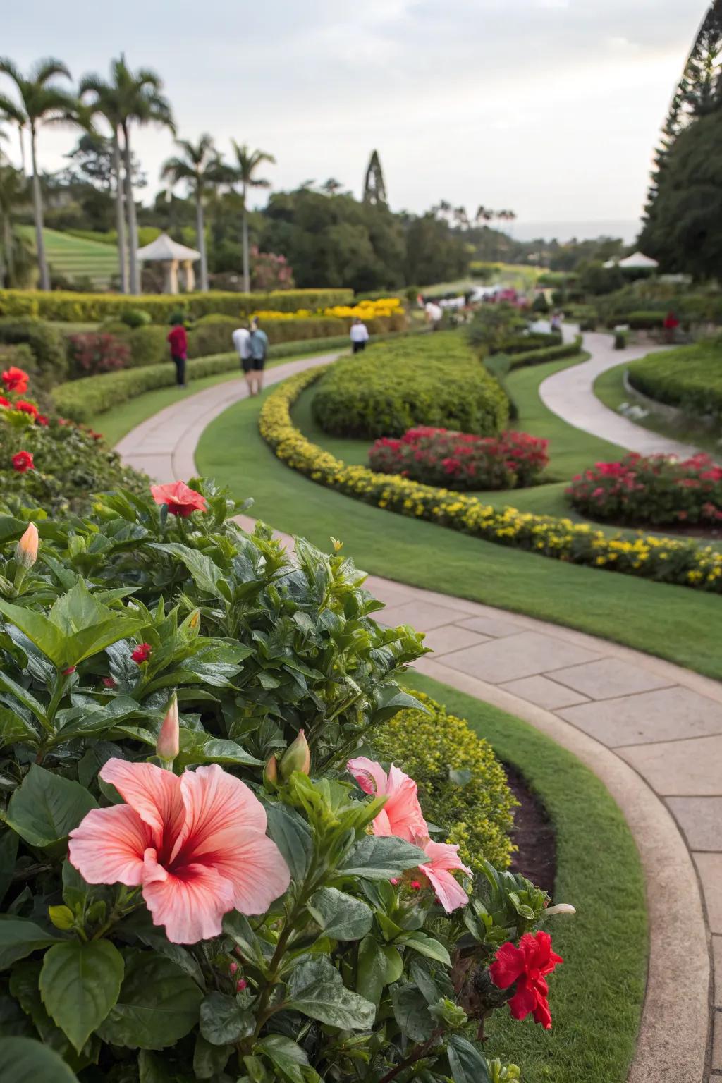 Craft unique garden themes with the versatile beauty of hibiscus.