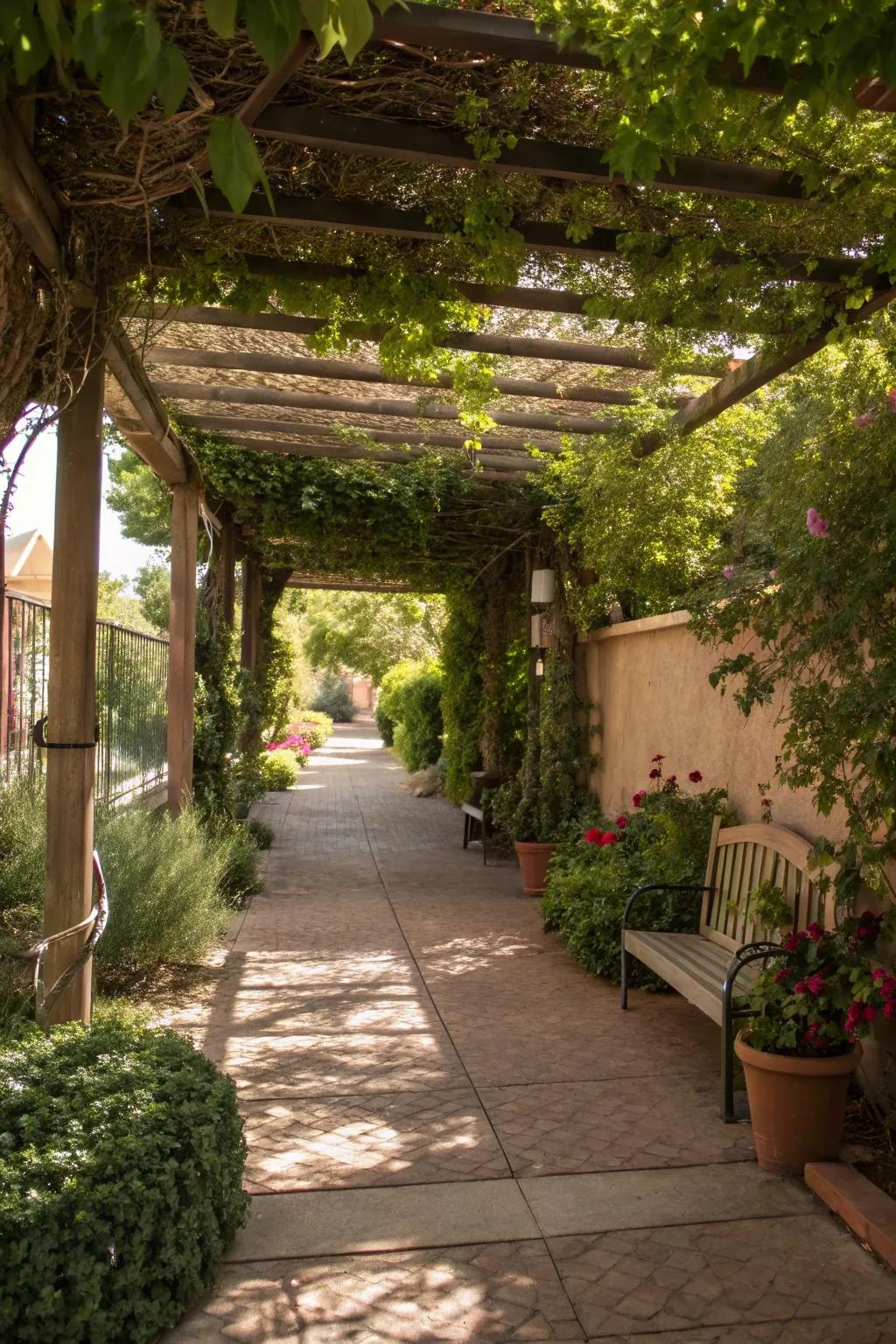 A scenic pathway retreat ending at a shaded pergola.