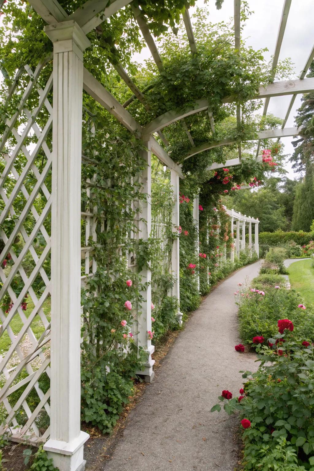 Lattice panels offer classic charm and plant support.