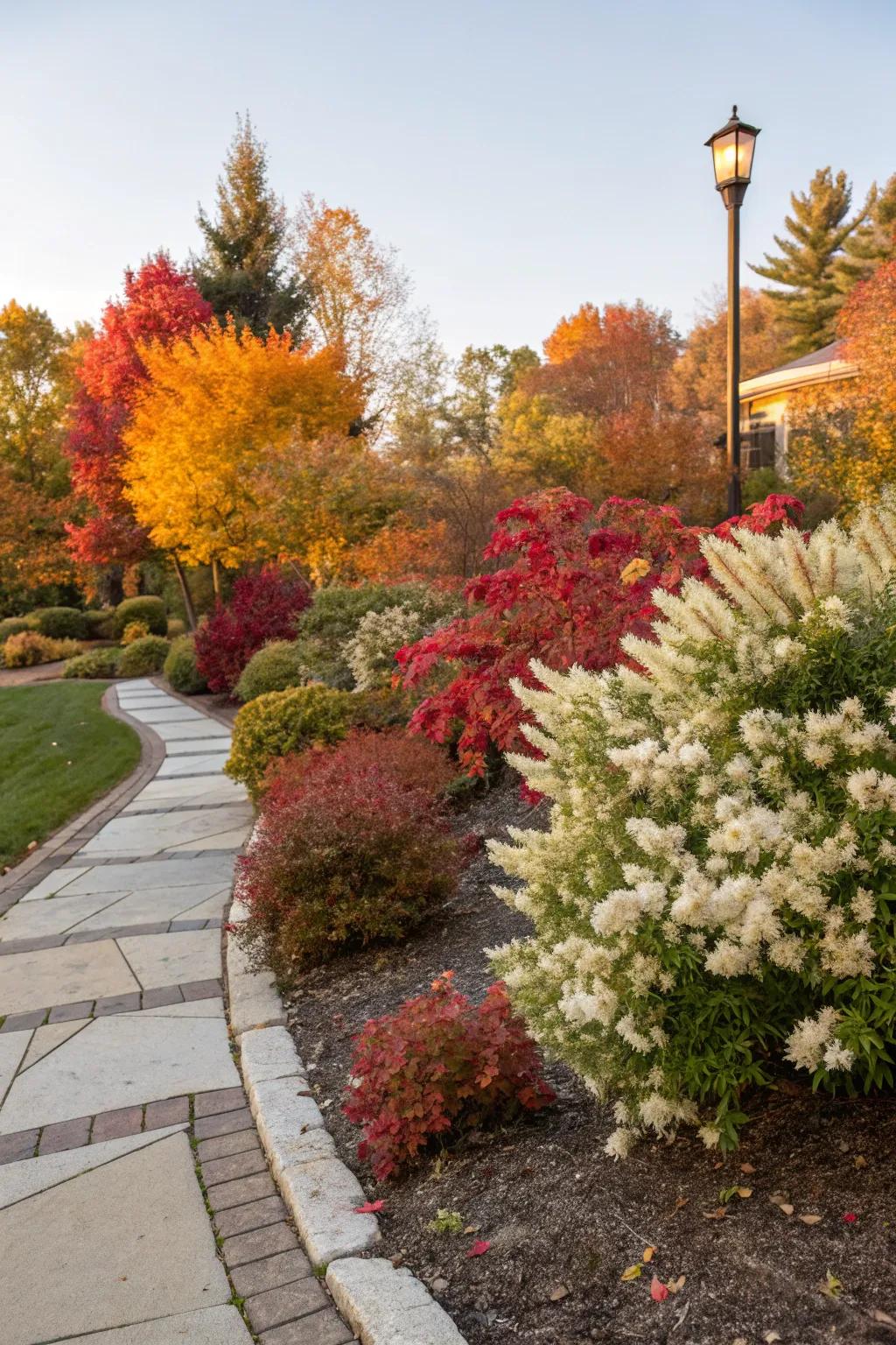 Little Henry Sweetspire offers fragrance and fall color.