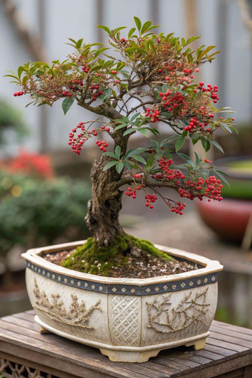 Nandina bonsai adds a unique, intricate focal point to small garden spaces.