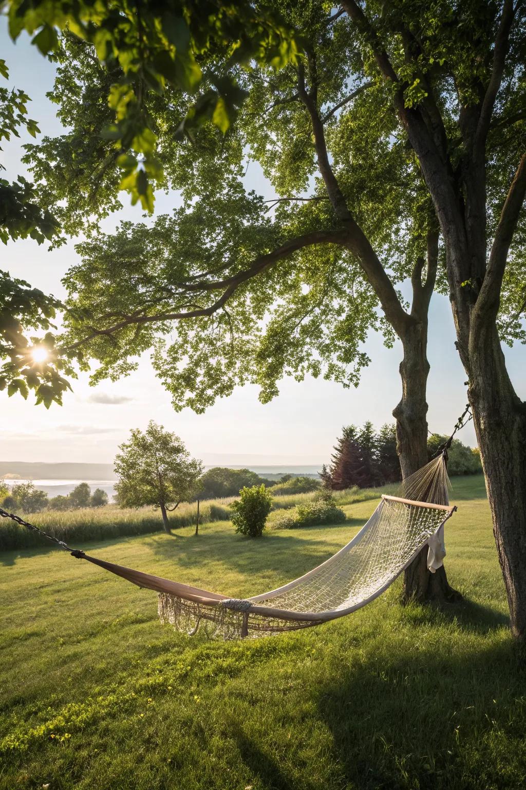 A hammock offering a tranquil escape on the lawn.