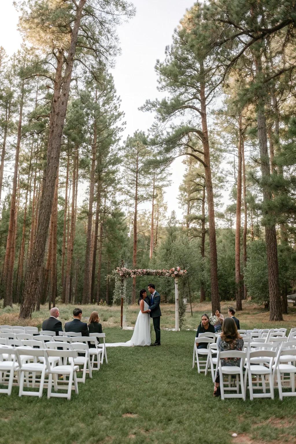 Forest clearing seating for a magical woodland ceremony.