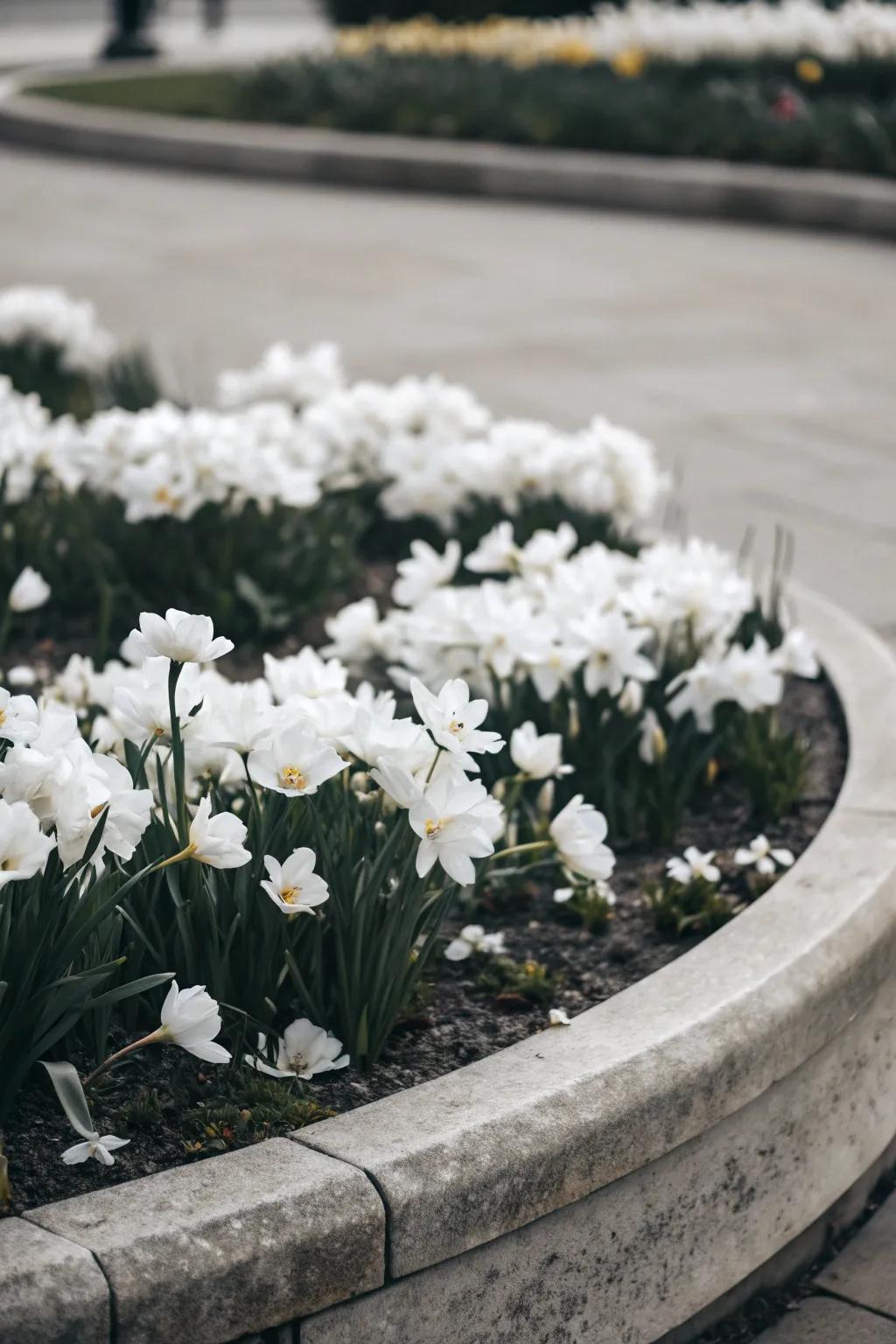 A monochrome palette creates a serene and elegant garden space.