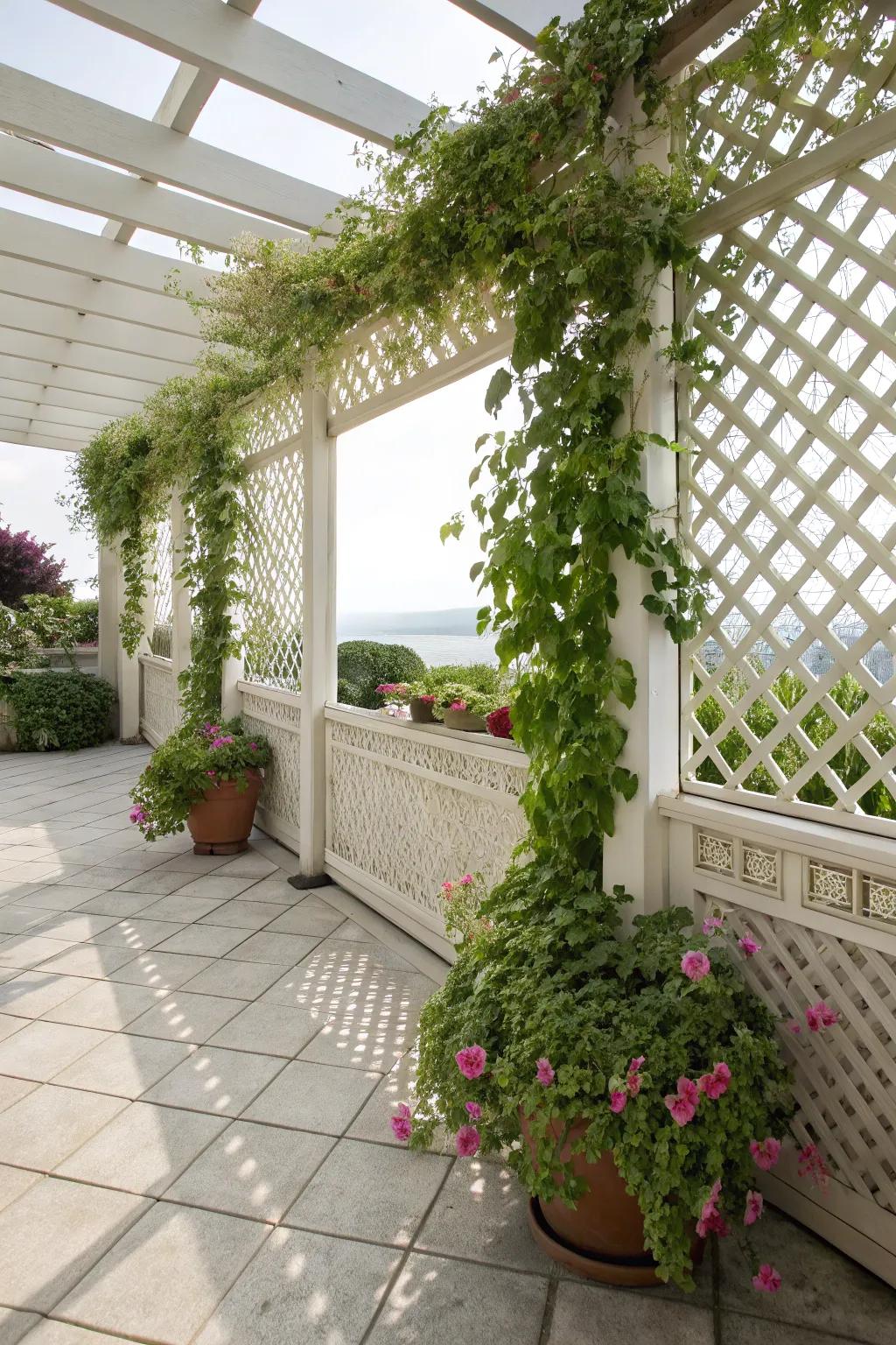 Lattice fences provide a light, airy privacy solution.