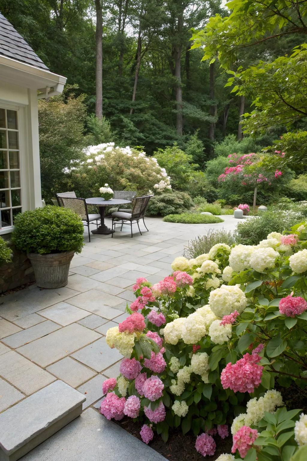 Flowering shrubs adding structure and lush blooms to the patio.