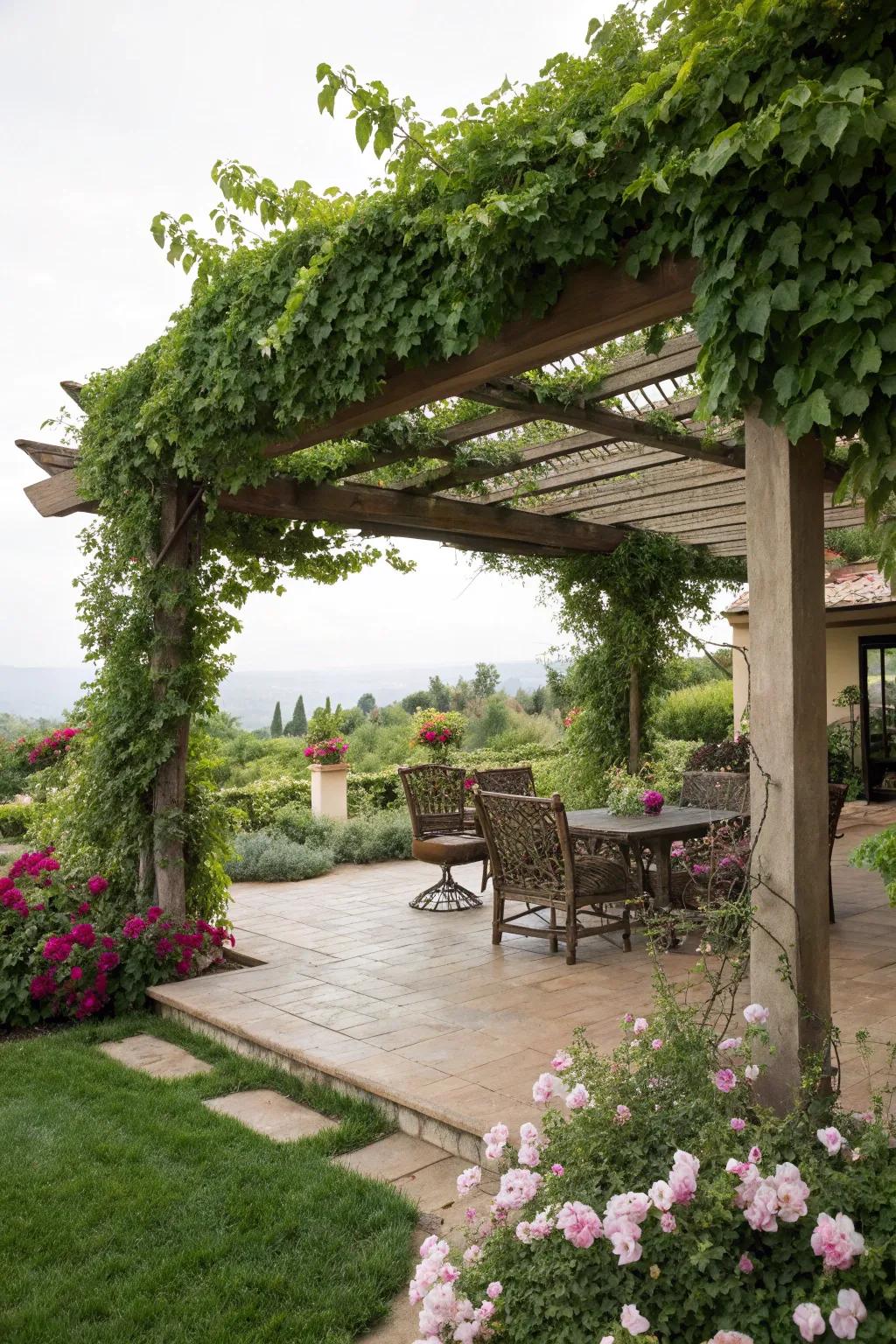 Enhance your pergola with beautiful climbing vines for natural shade.