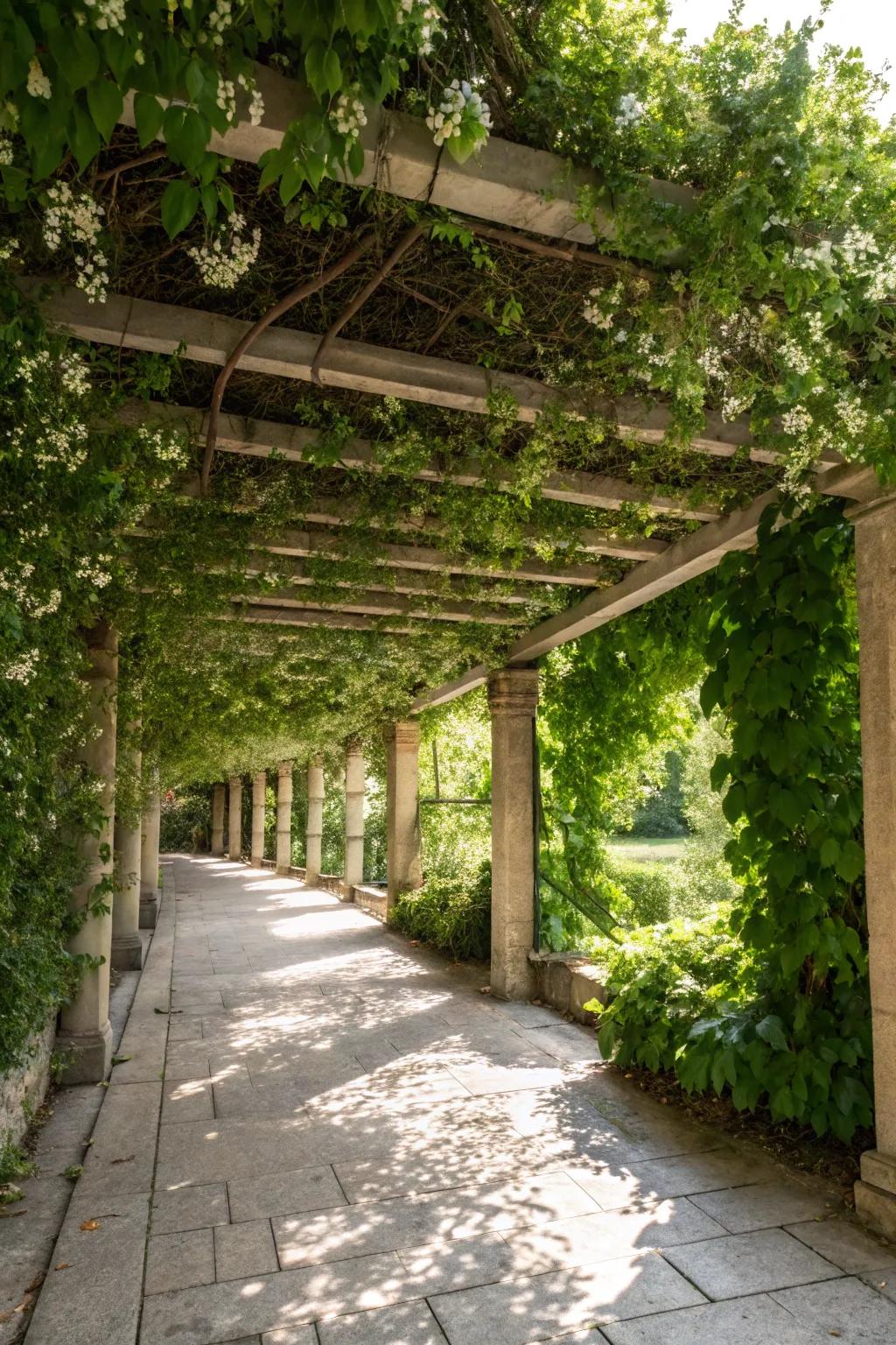Enjoy a natural canopy with intertwined greenery.