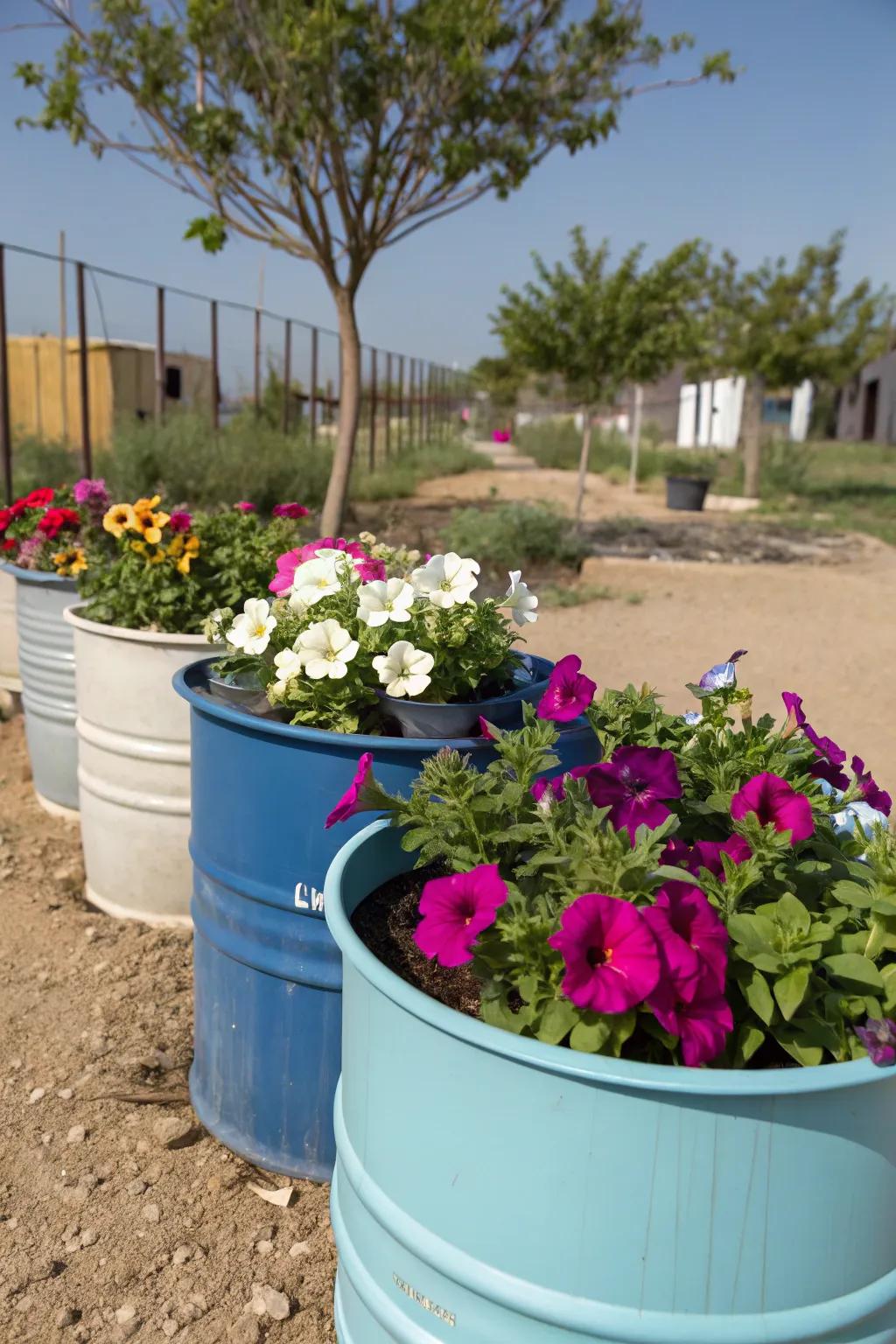 Upcycled planters bring eco-friendly charm to petunia displays.